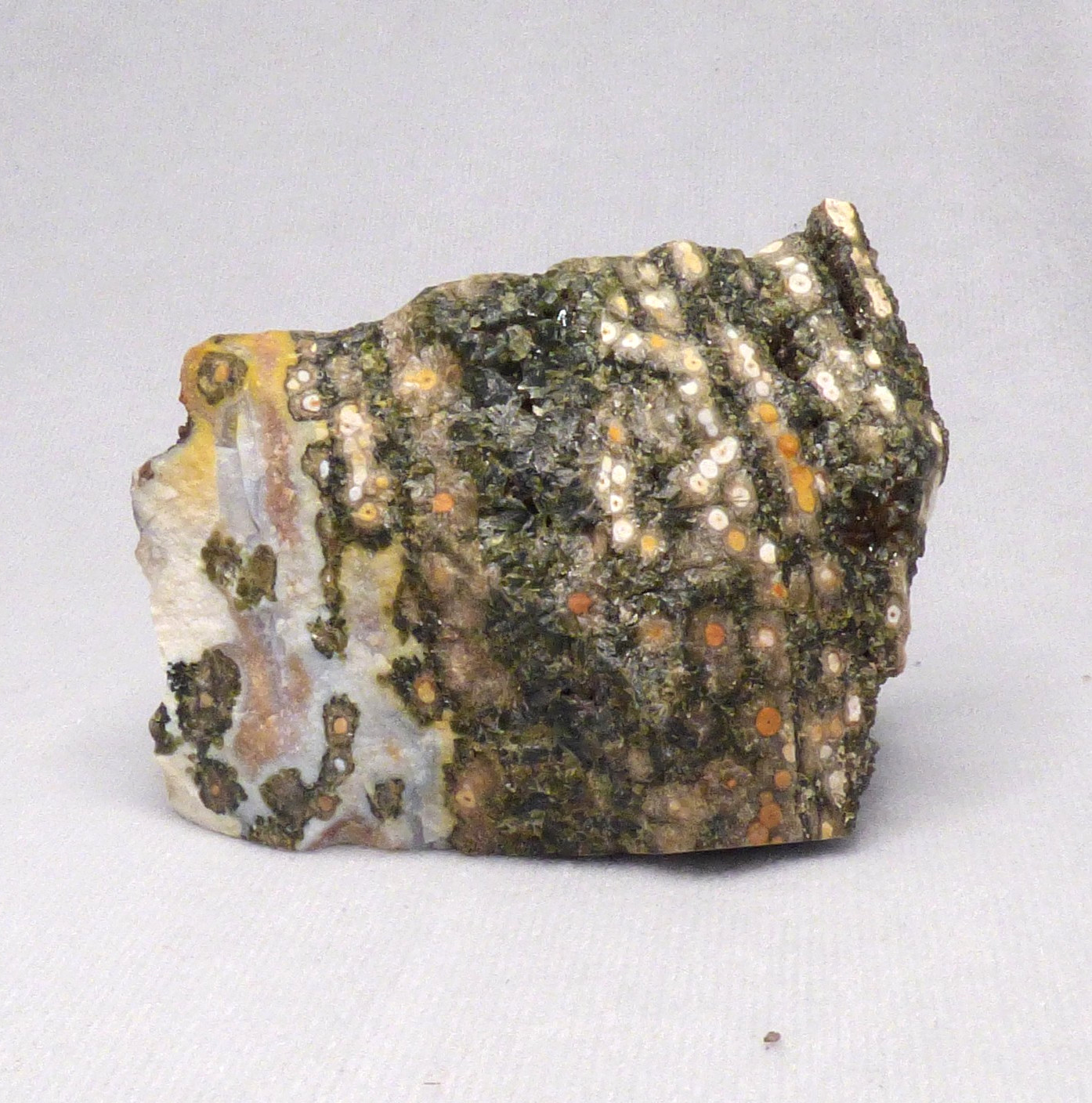 Ocean Orbicular Jasper Unpolished Raw Specimen Cut Base Freestanding 135g 7cm