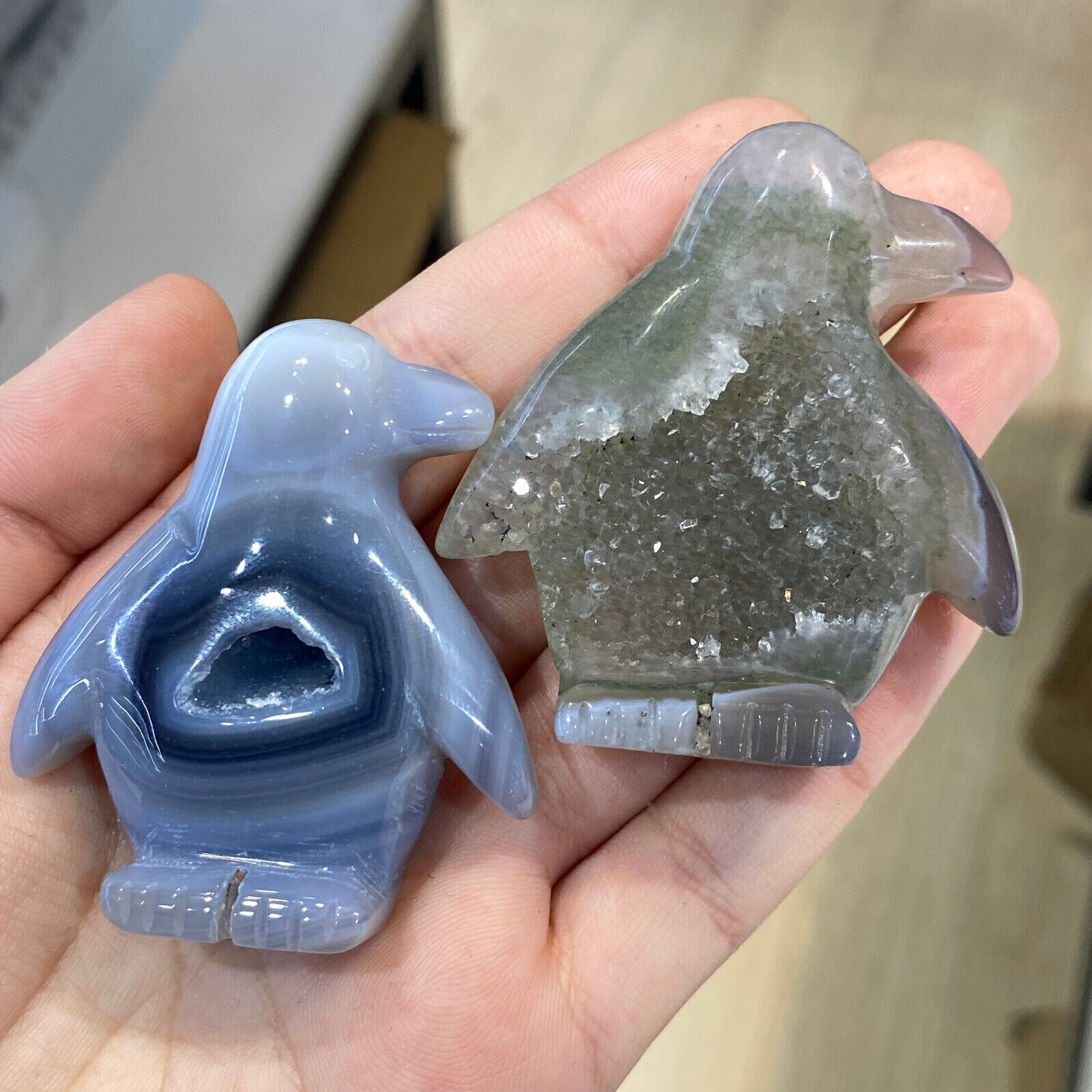 1pc Natural geode agate Quartz Hand Carved penguin Skull Energy Reiki Healing