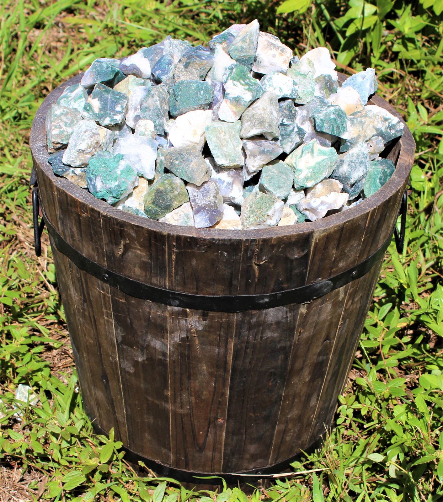 500 Carat Lot Bulk Natural Rough Tree Agate (Raw Crystal Rock Mineral 100 Grams)
