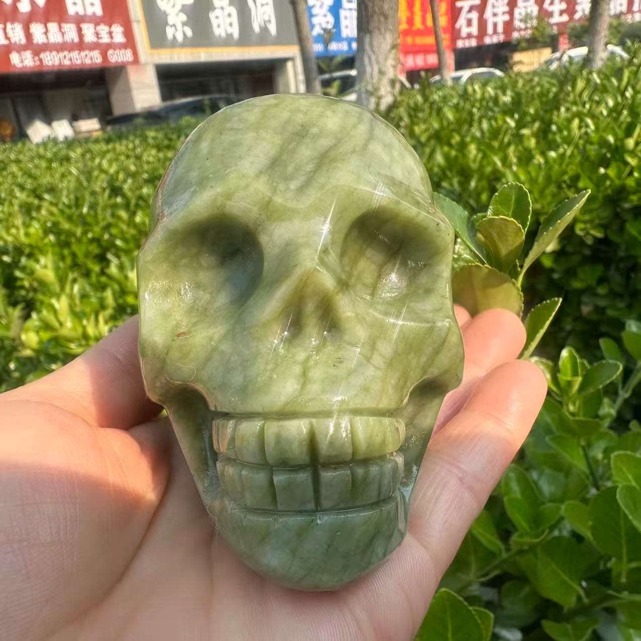 1pc Natural ophiolite carved Quartz Crystal skull Mineral Specimen