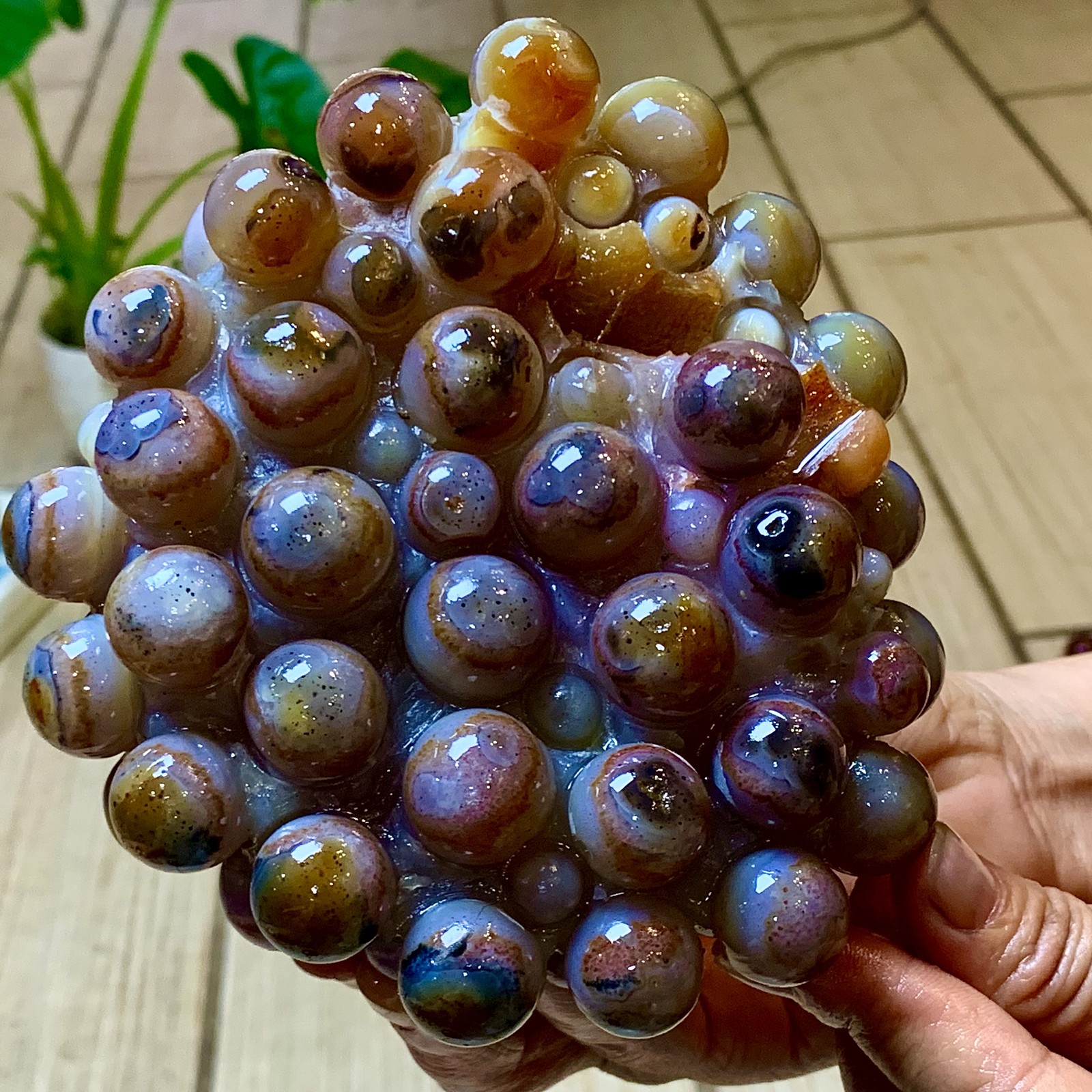 2.24LB Natural Gobi Agate Eye Agate grape shape Crystal Madagascar mineral