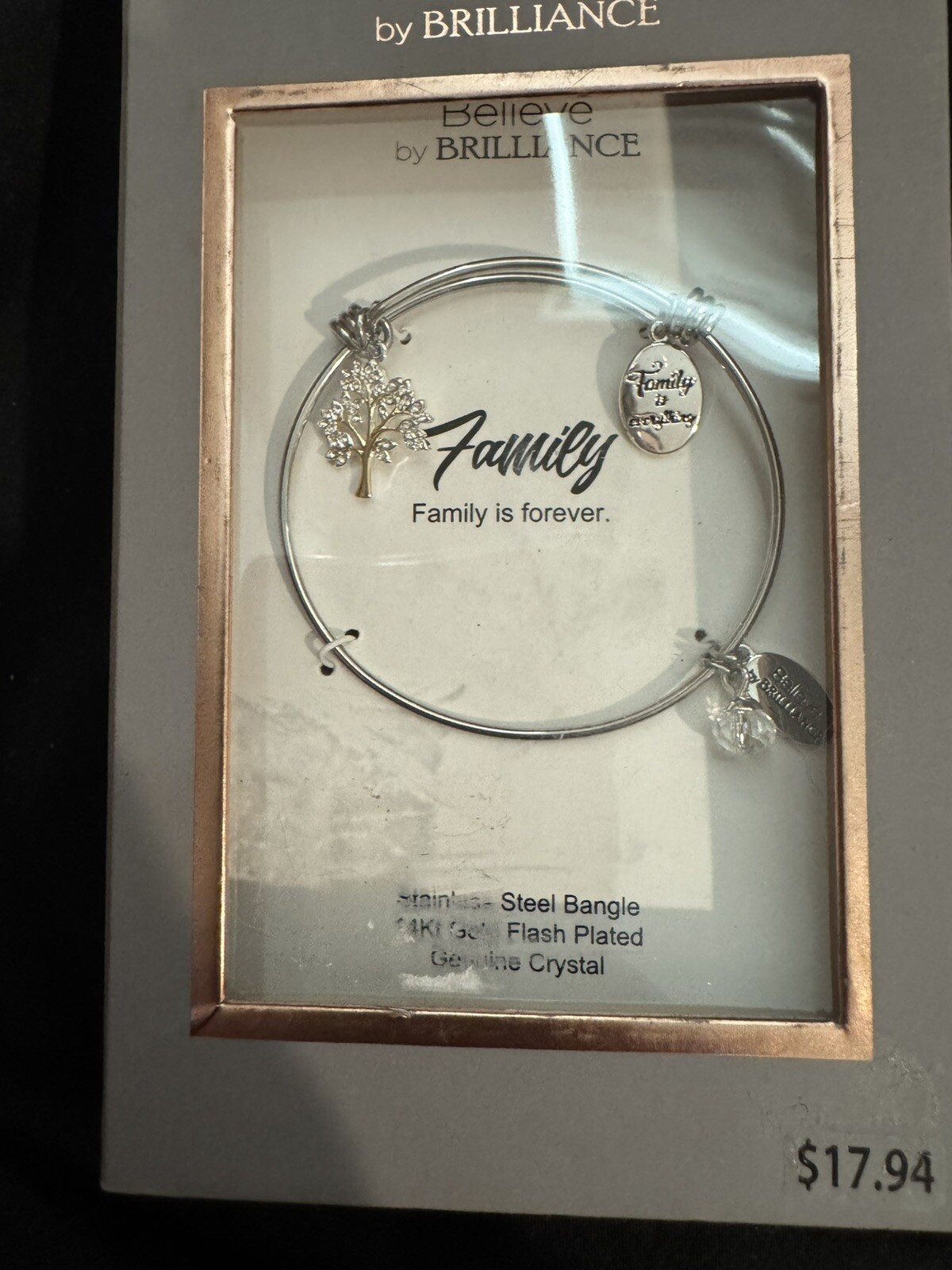 Believe By Brilliance NWT FAMILY Charm Bangle Bracelet STEEL TREE SILVER TONE