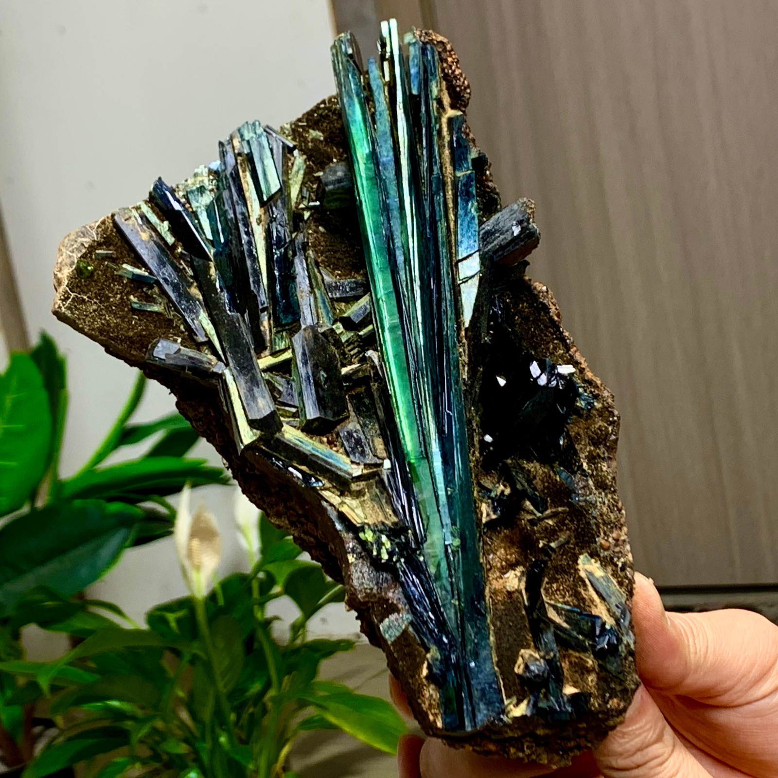 2.31LB Natural Vivianite ludlamite Quartz Crystal Mineral Samples /Brazil
