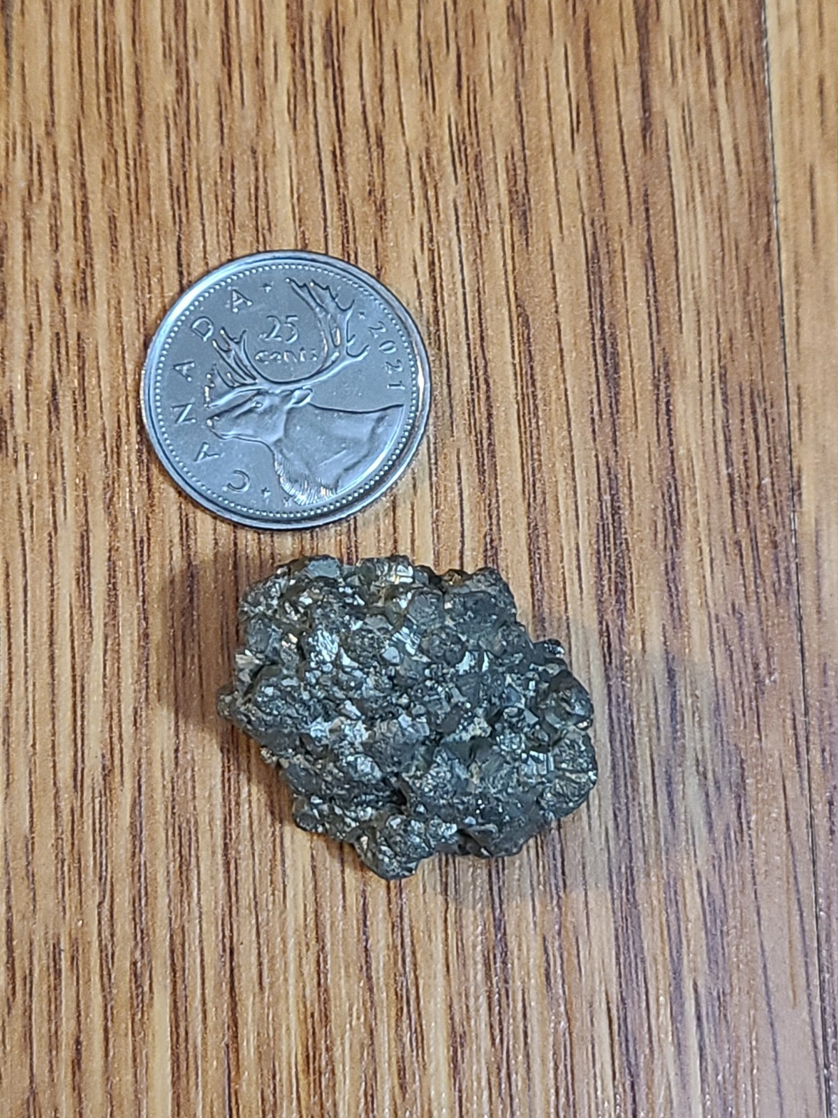 TWO PYRITE Crystal Clusters — Fools Gold