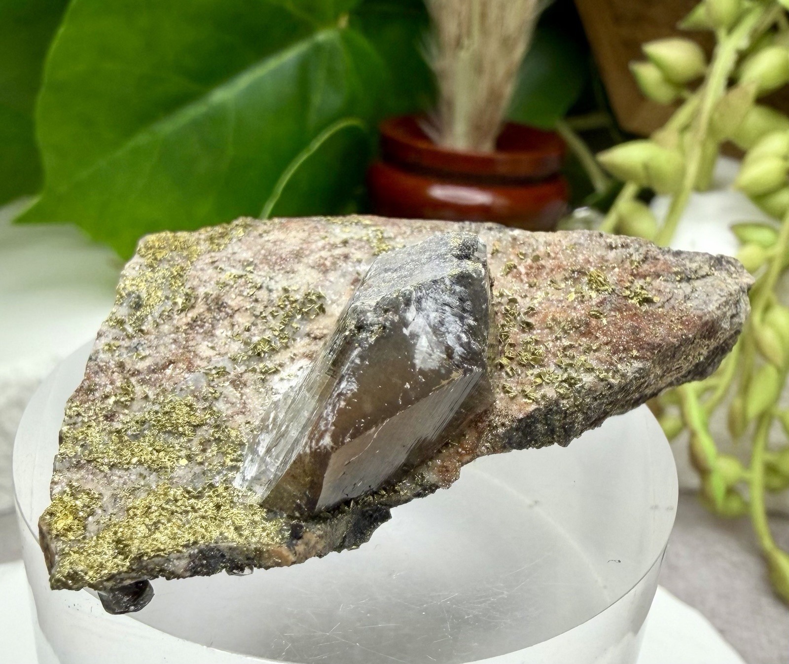 Crystal 30g Garden Quartz On Matrix With Chalcopyrite Specimen Mineral Raw