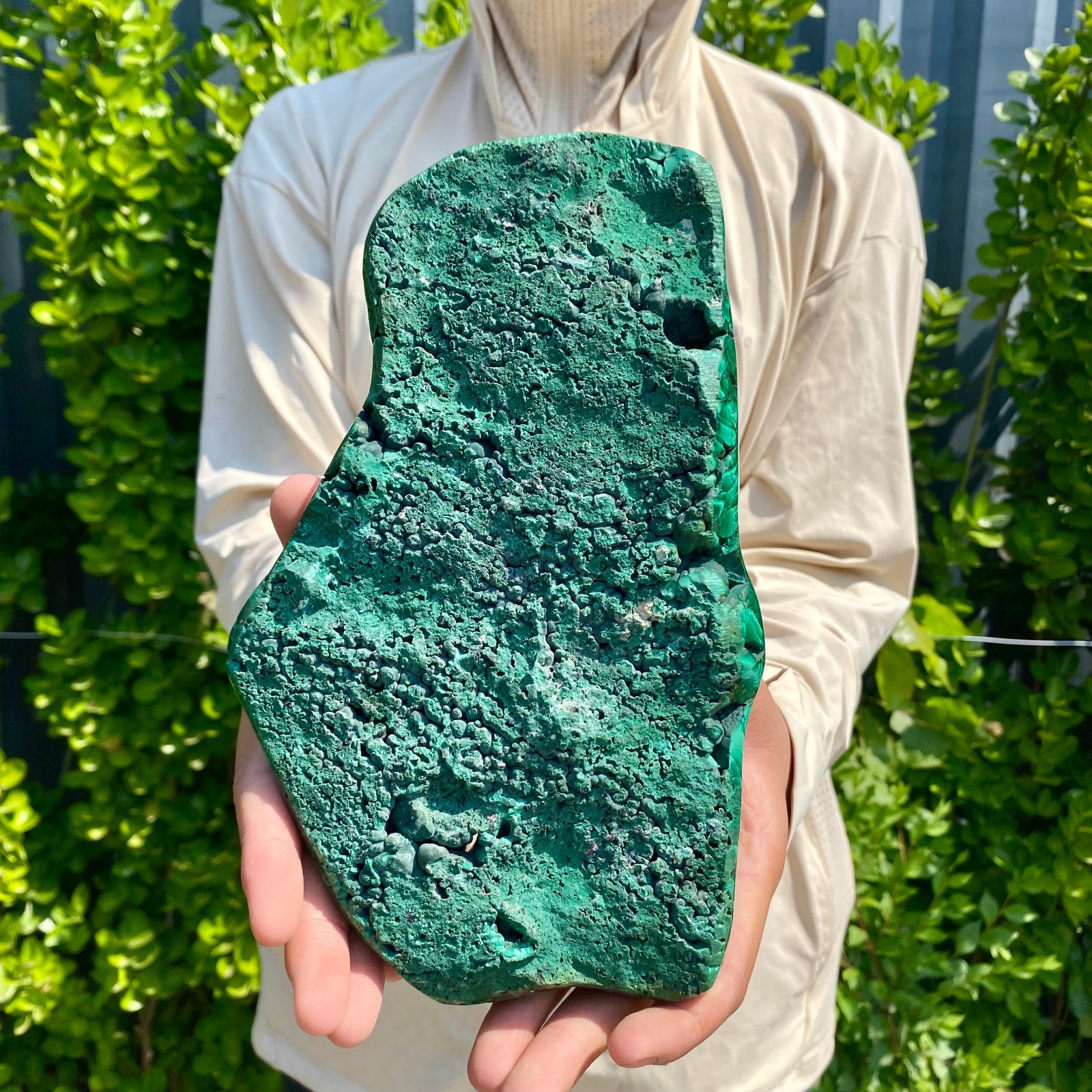 4.85LB Natural glossy Malachite transparent cluster rough mineral sample