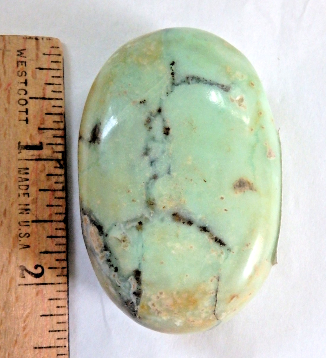 Stunning Chrysoprase $25 Palm Stone 81.6 grams Polished