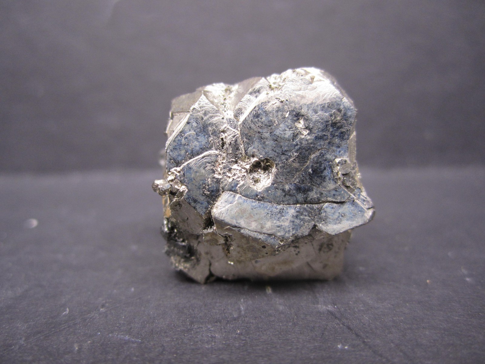 Franckeite on Pyrite, Poopo, Bolivia #1