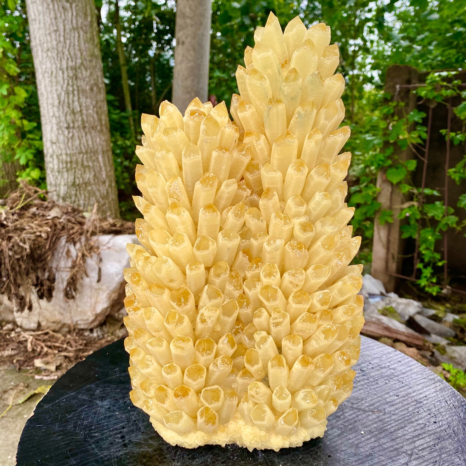 21.9LB New find yellow Phantom Quartz Crystal Cluster mineral samples