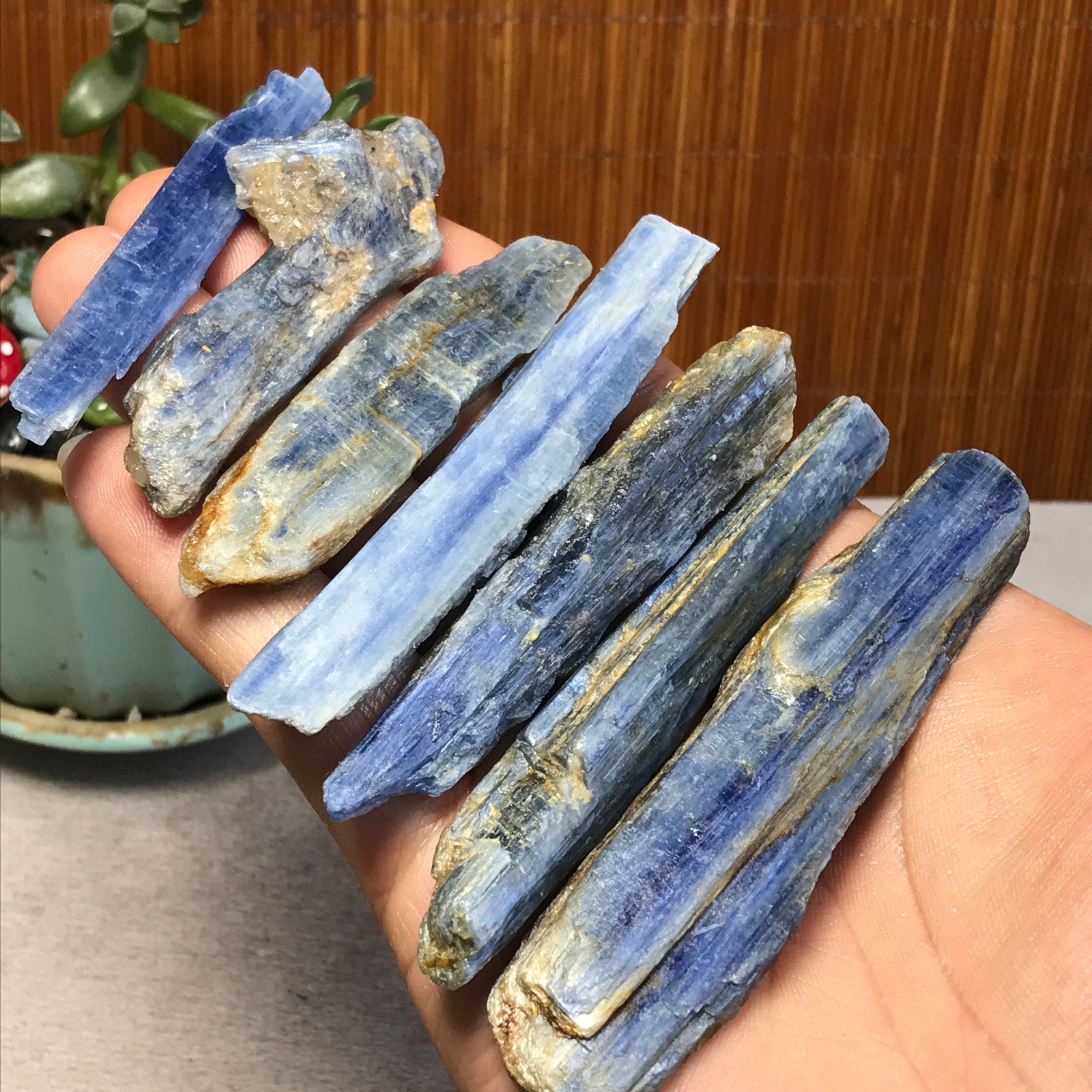 7Pcs NATURAL Blue Kyanite gemstone crystal rough mineral Specimen 155g A6924