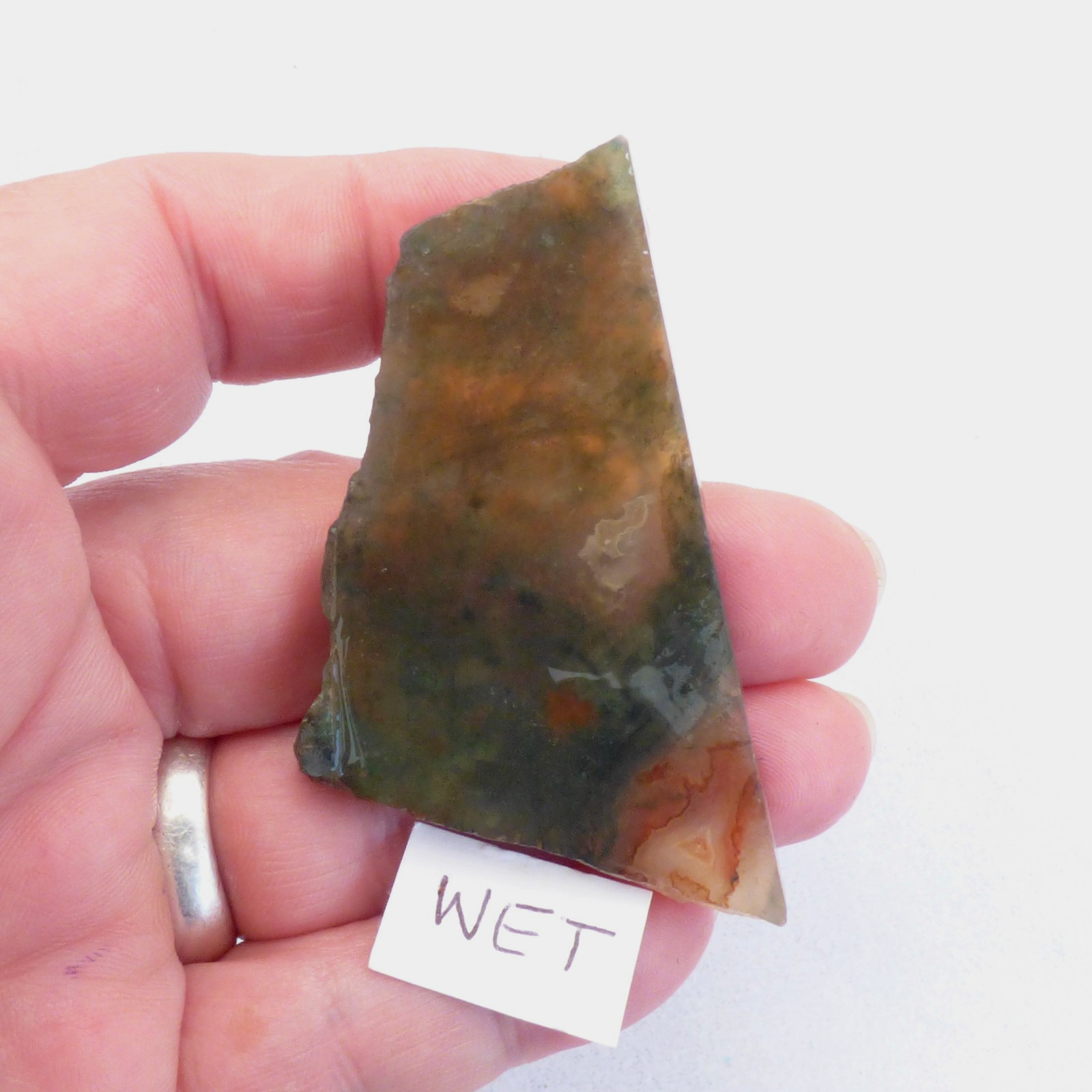 Red Green Moss Agate Slice UNPOLISHED For Collector or Lapidary 6.5cm x 3.5cm