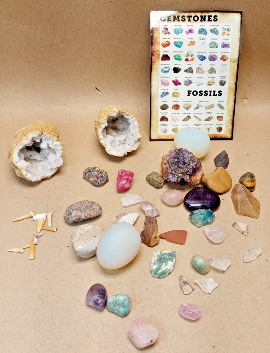 Rock and Crystal Collection Mineral Specimens, And Sharks Teeth