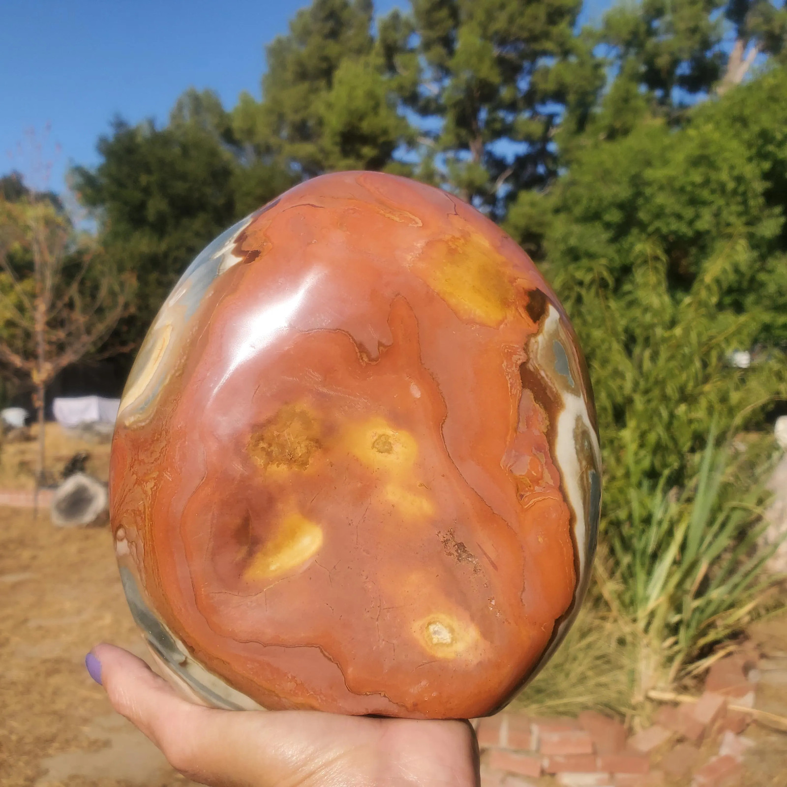 Polychrome Freeform Jasper Free-Standing Healing Crystal 3340 grams l 7lbs 6oz