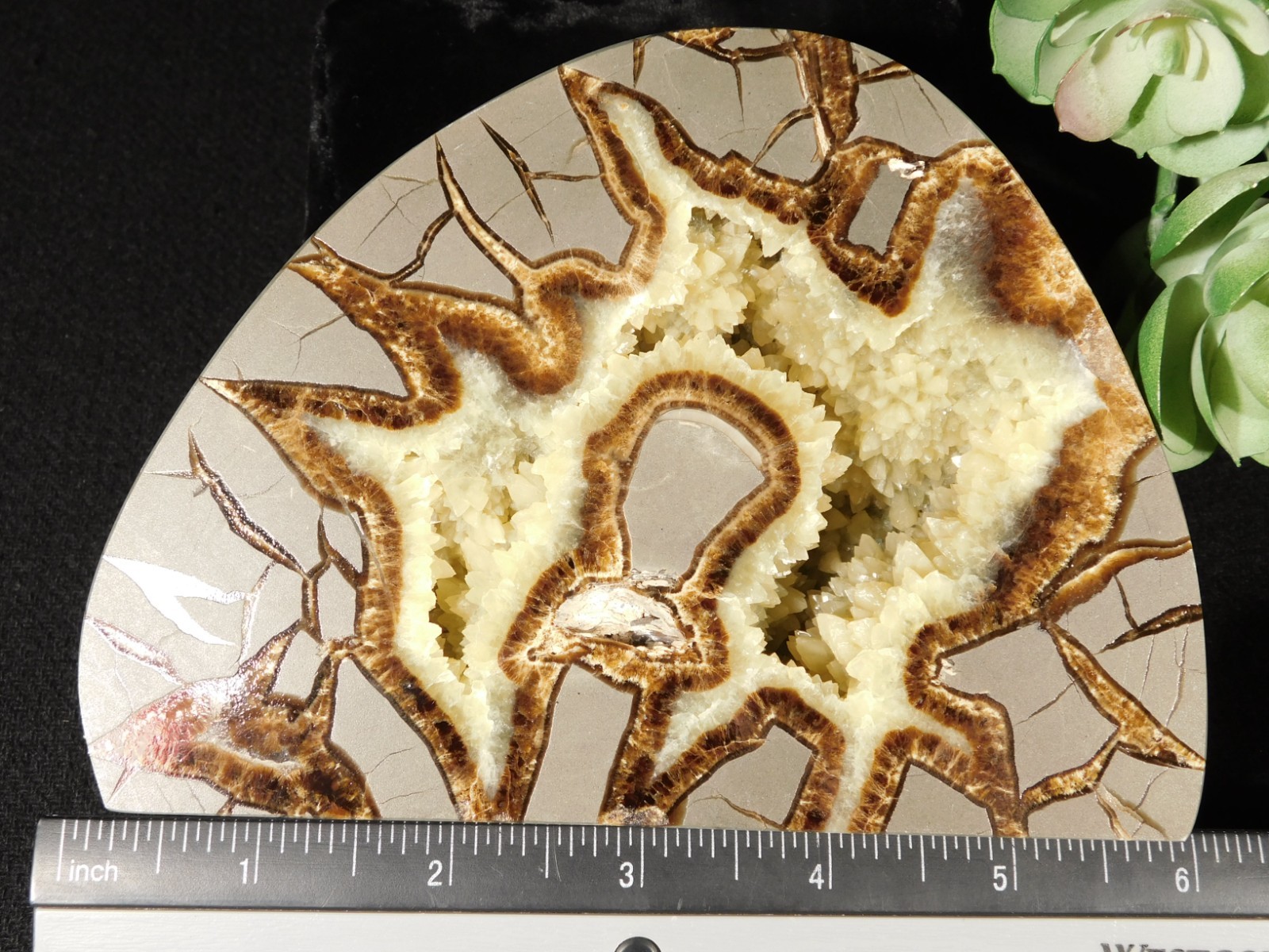 Larger! Polished AAA Crystal Filled Septarian GEODE FREE Standing Utah 852gr