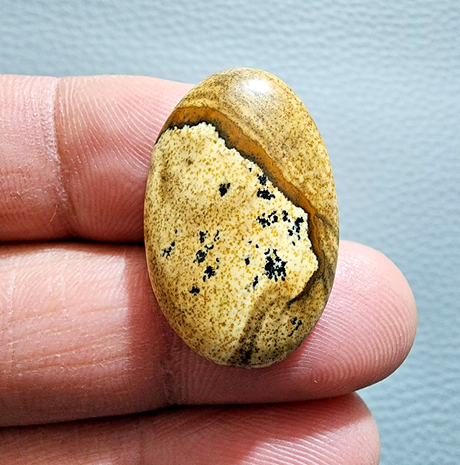 Picture Jasper 19ct Cabochon Oval – Unique Natural Gemstone for Jewelry Art