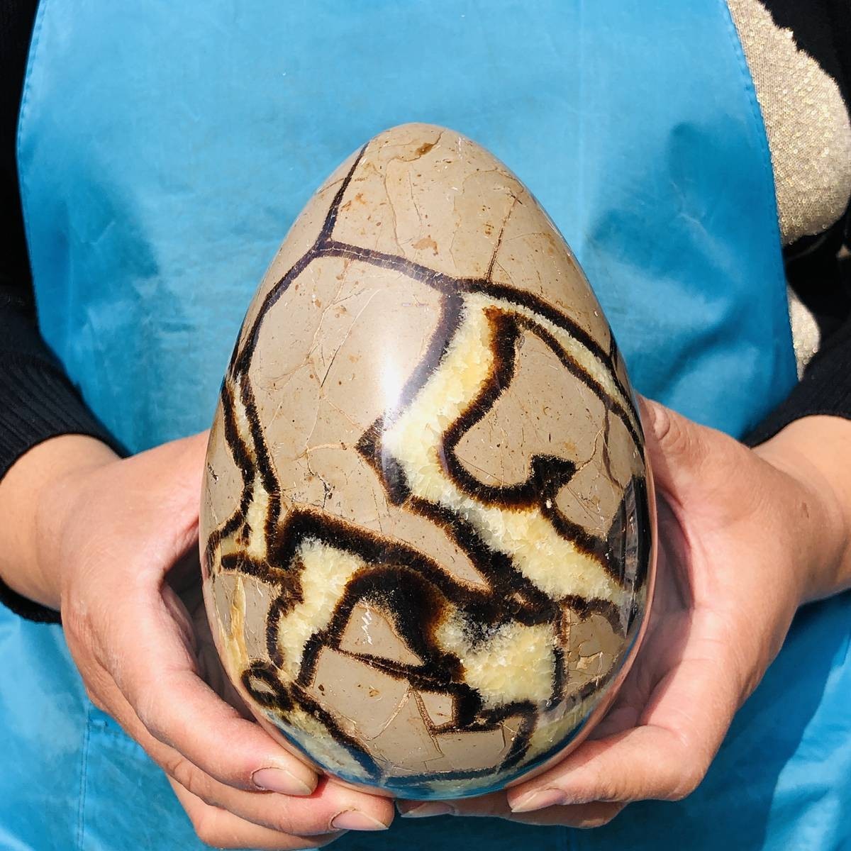 5.06LB Natural Turtle Back Stone Egg Shape Dragon Crystal Crack Healing