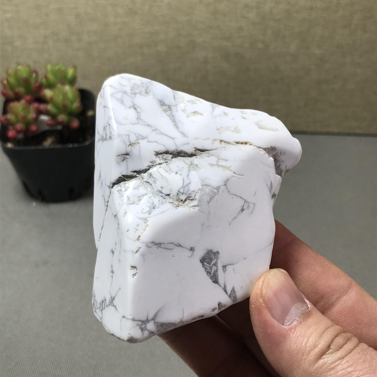 Natural White Howlite Turquoise Quartz Crystal Rock Stone Specimen 221g A6667