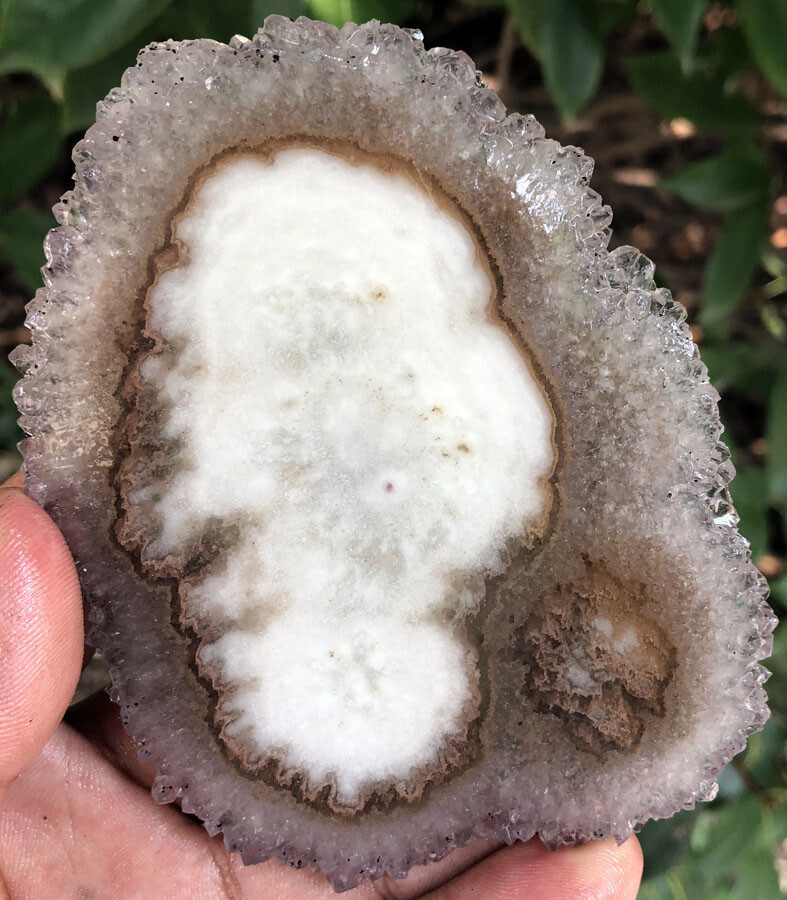 590CT WOW! Boutique Natural Trapiche Star Agate Amethyst Flower Specimen ia3363
