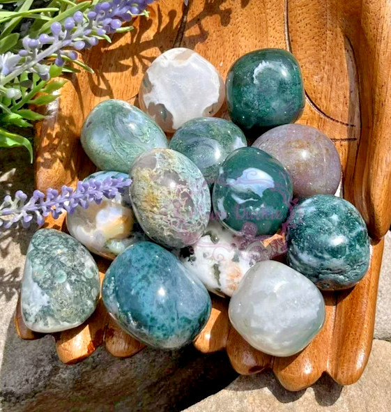 3Pcs Genuine Moss Agate Tumbled Crystal Stone Natural Energy Healing Reiki Decor