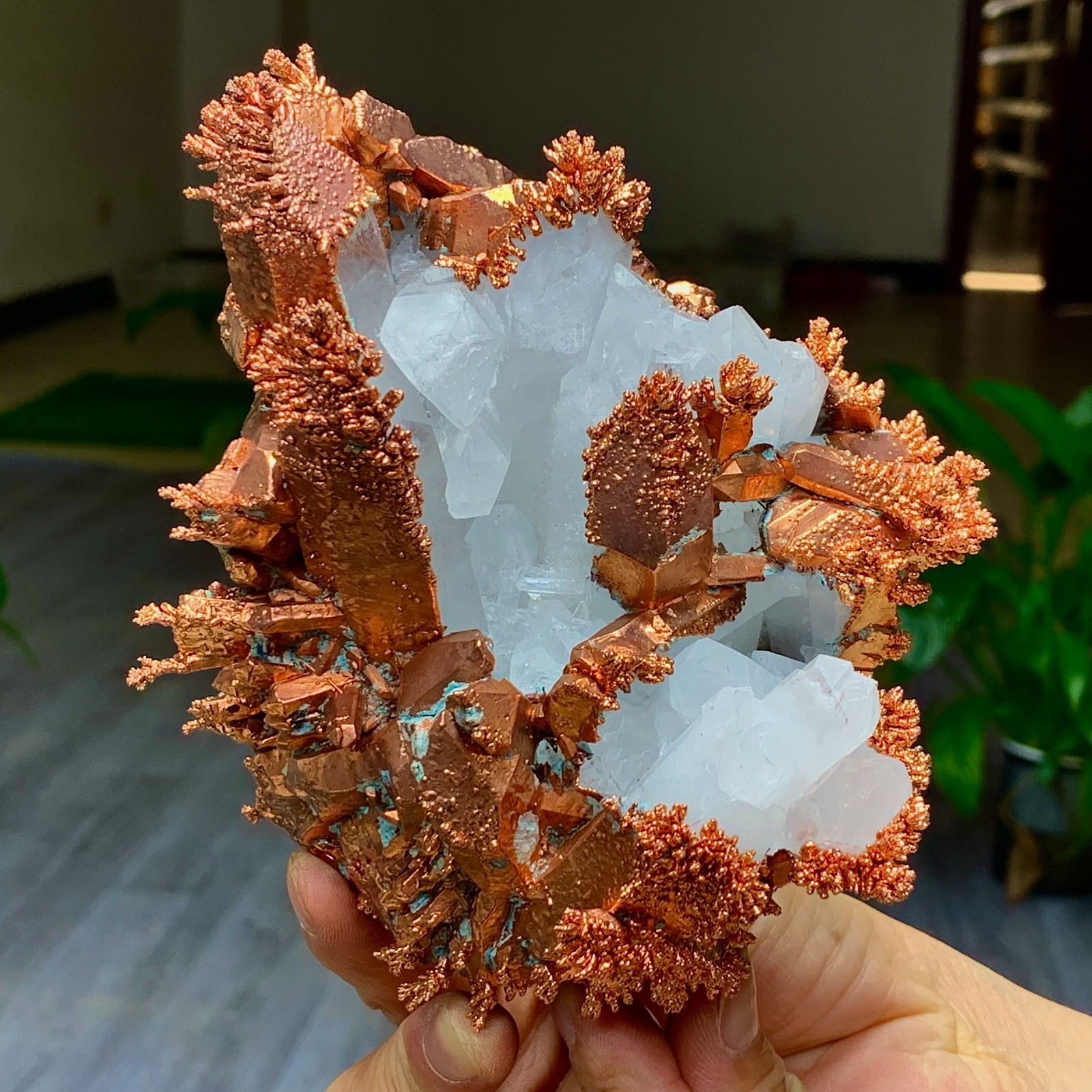 2.44LB Rare iridescent Native Copper with white quartz crystal mineral-symbiosis