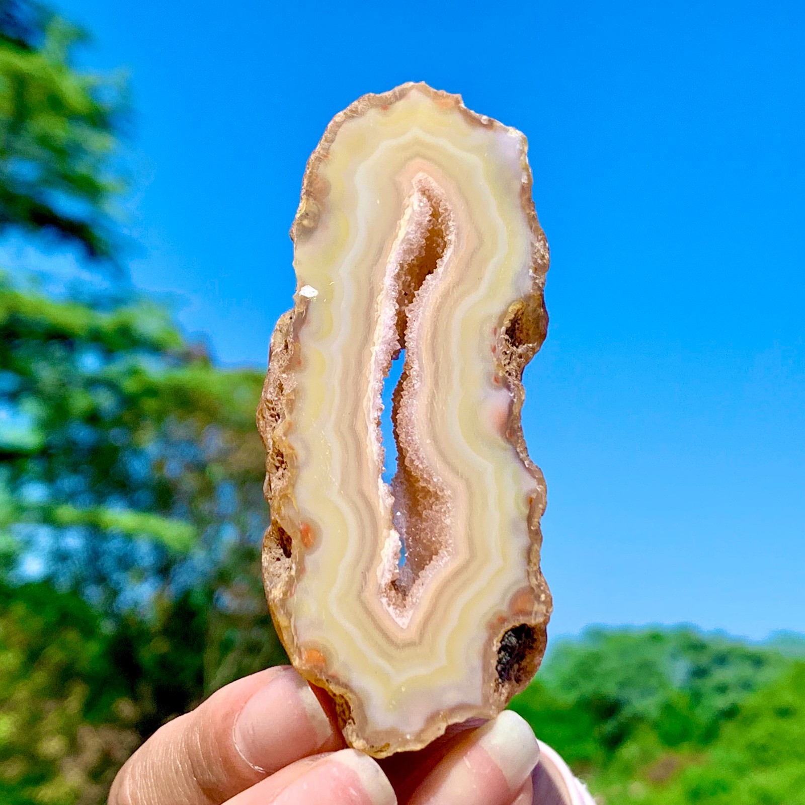 68G AAA Grade Natural Beautiful Yellow Agate Geode Druzy Slice Extra Large Gem