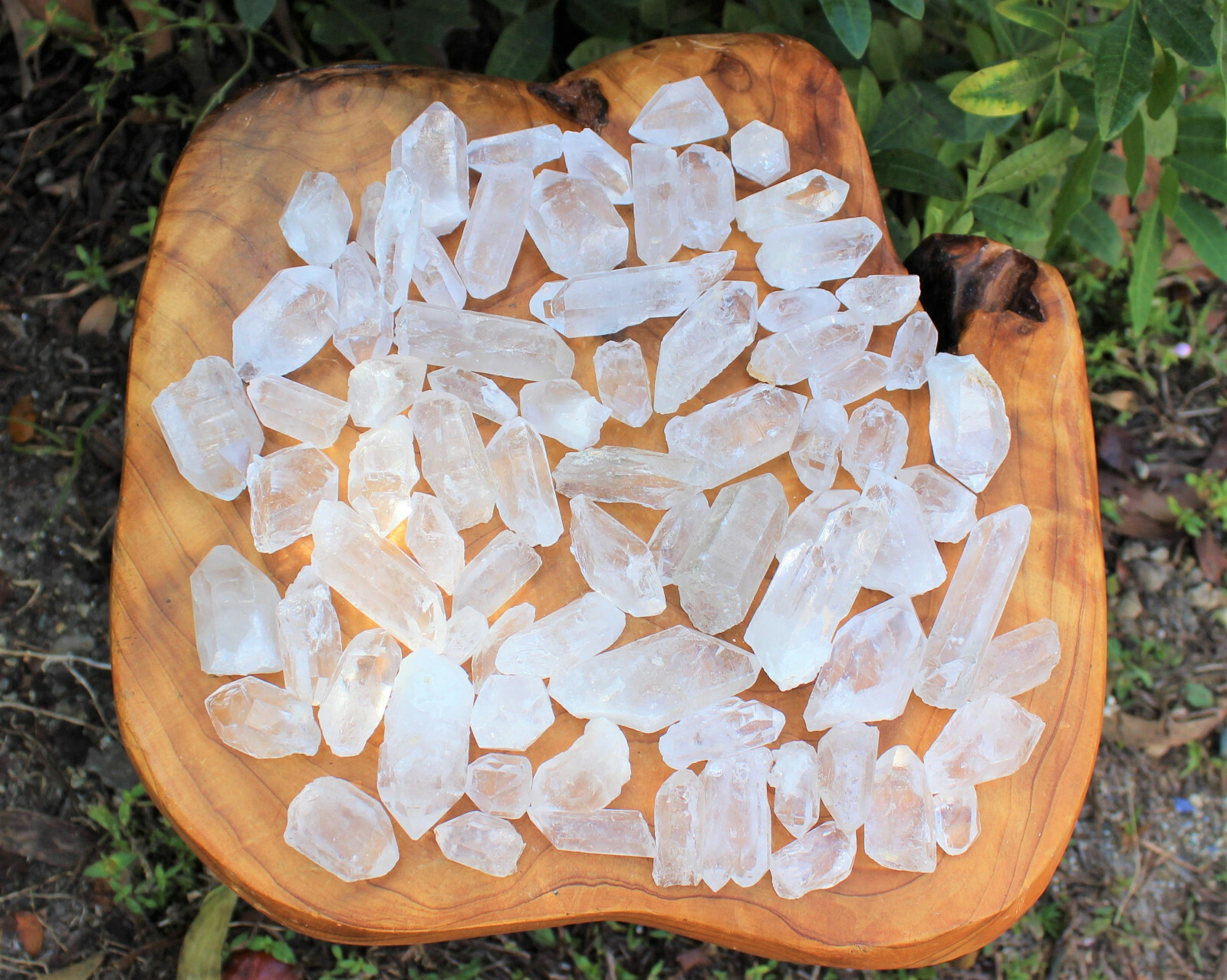 50g Lot Natural Clear Quartz Crystal Points Wand, Healing Crystals (250 Carat)