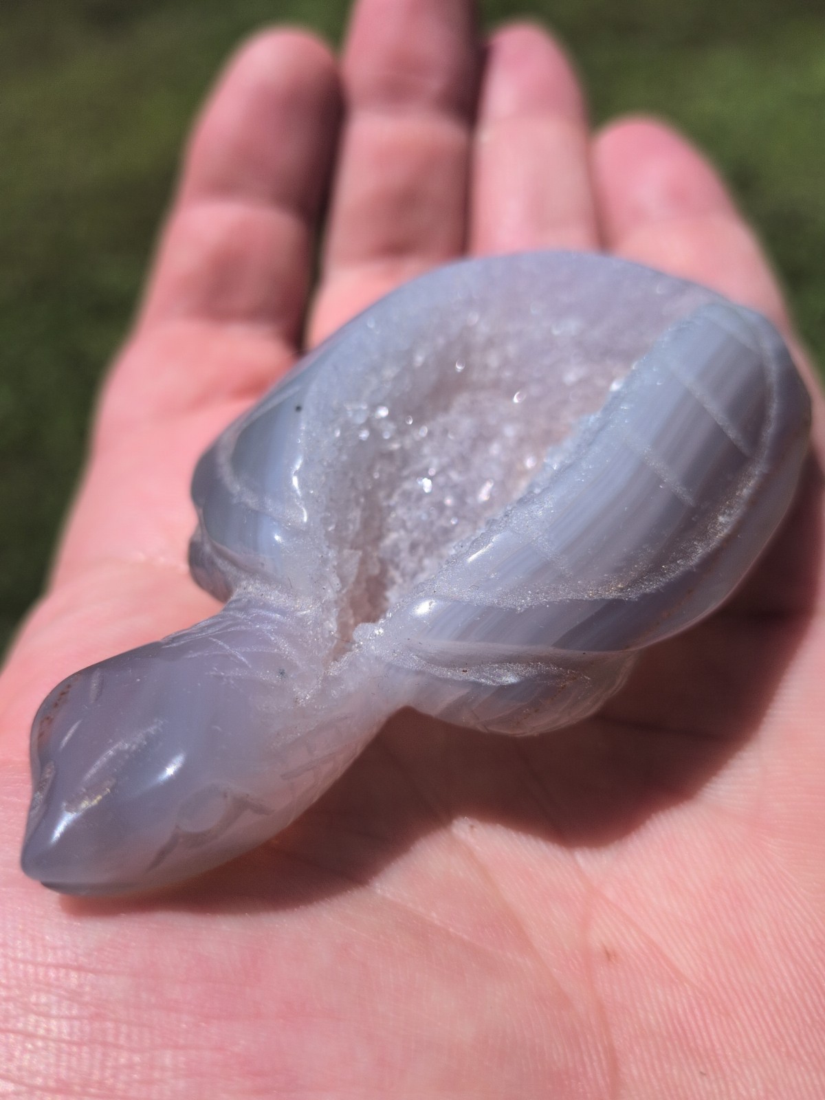 2″ Carved Natural Geode Agate turtles skull Quartz Crystal Skull healing 1PC.