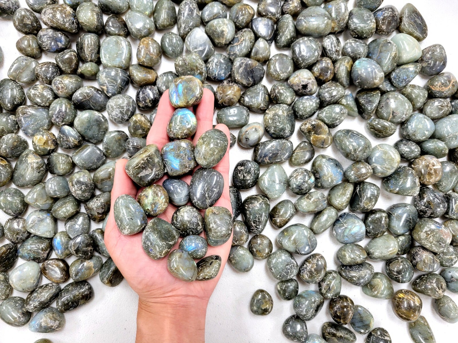 Tumbled Labradorite Crystal Stones – 3/4 inch to 1.5 inch – Bulk Natural Gems