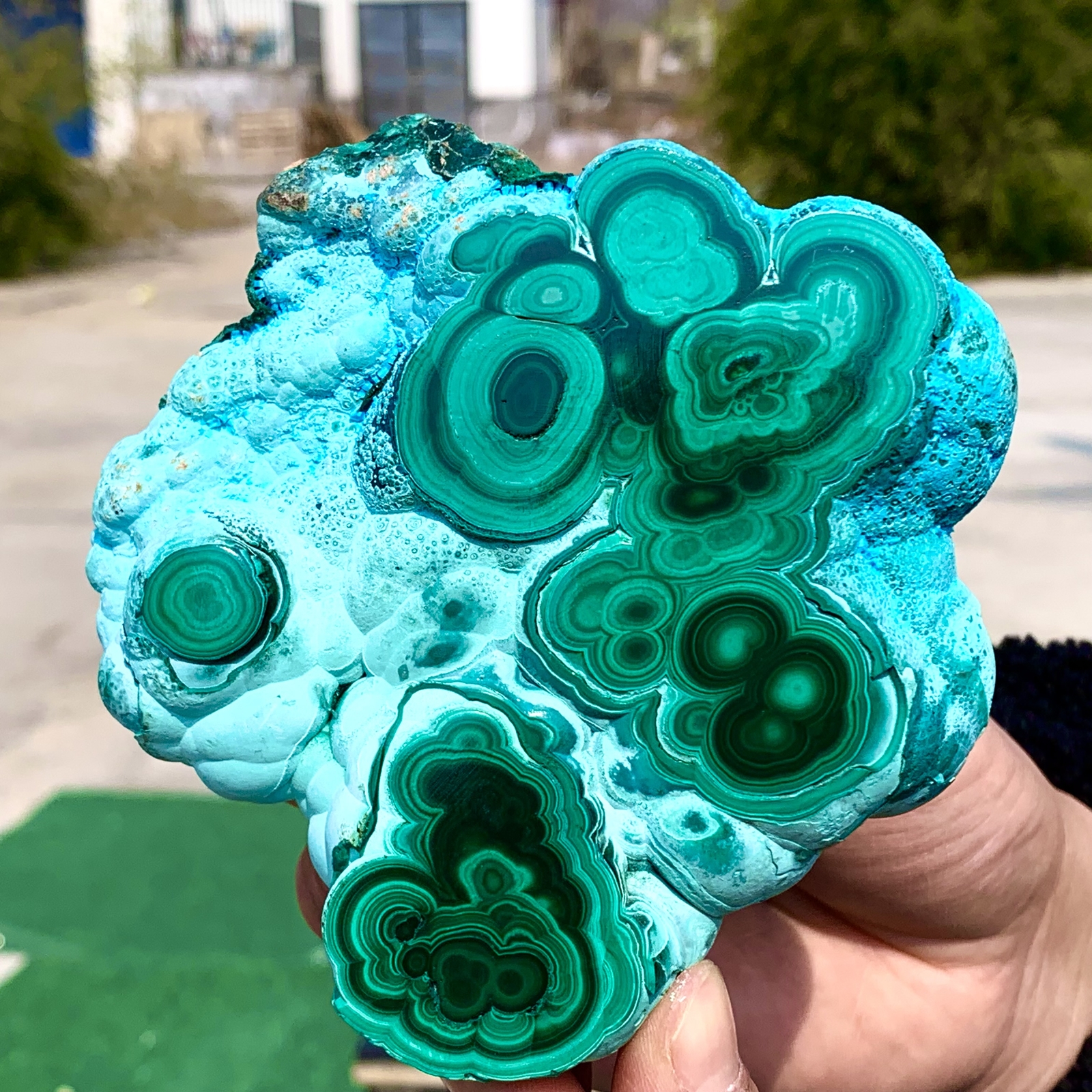 1.92LB Natural Chrysocolla/Malachite transparent cluster rough mineral sample