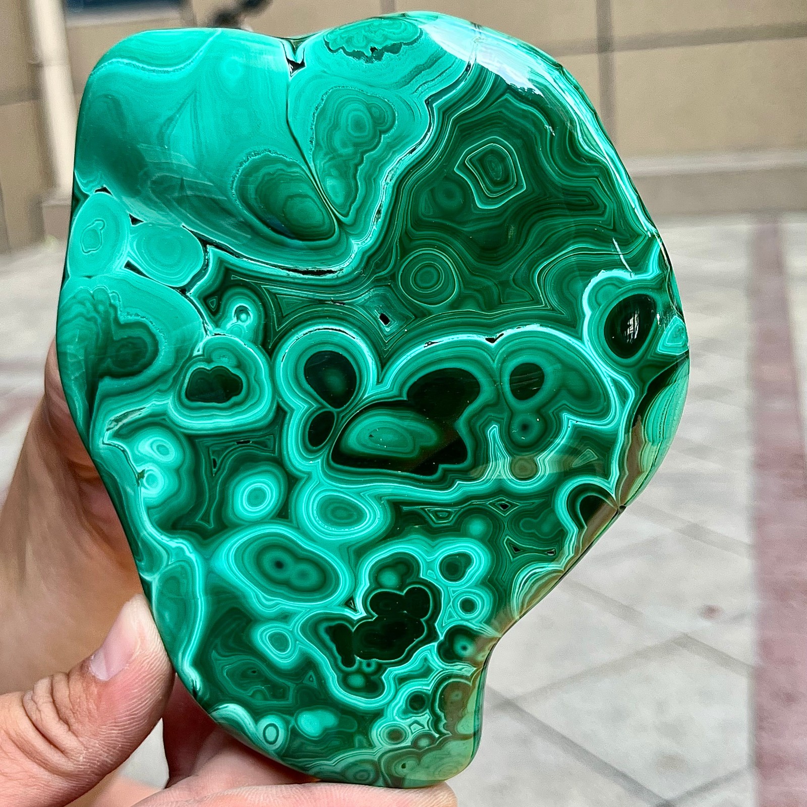 2.2 lb Malachite Quartz Freeform One Side Polished Natural Crystal Specimen