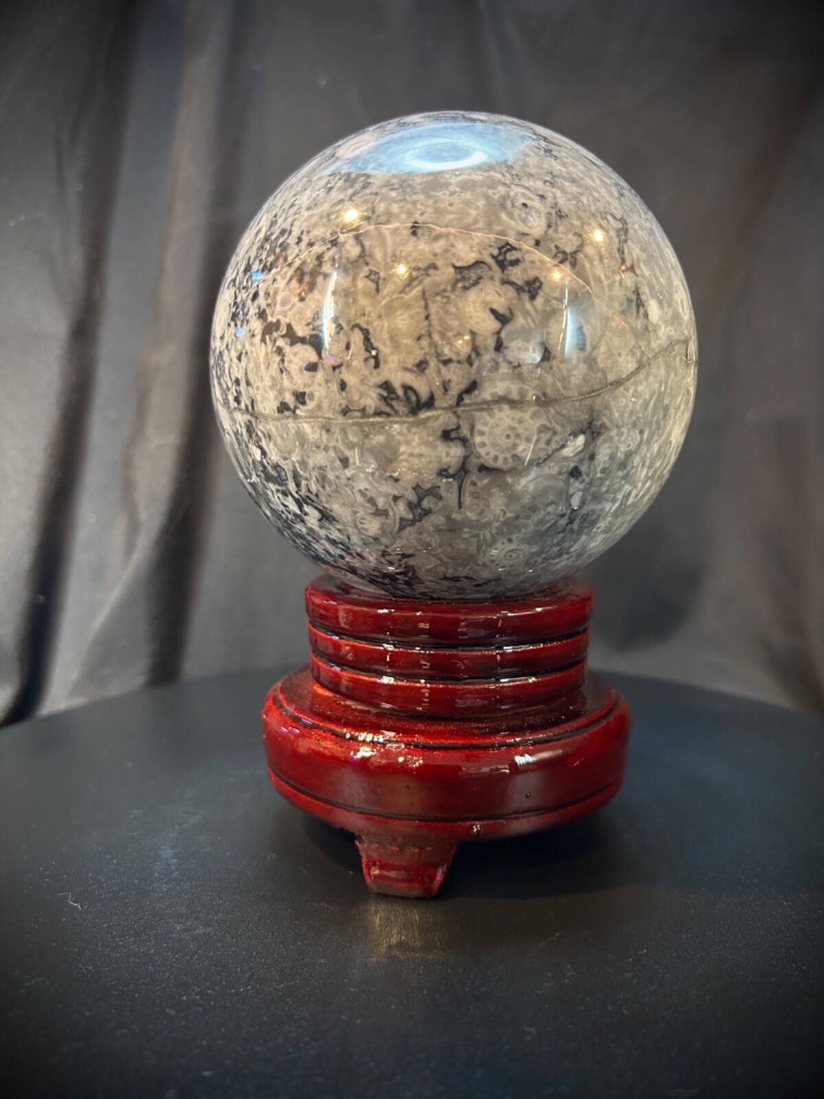 4.25″ Large Orthoceras Fossil Sphere With Wood Stand 4lb 3.3oz