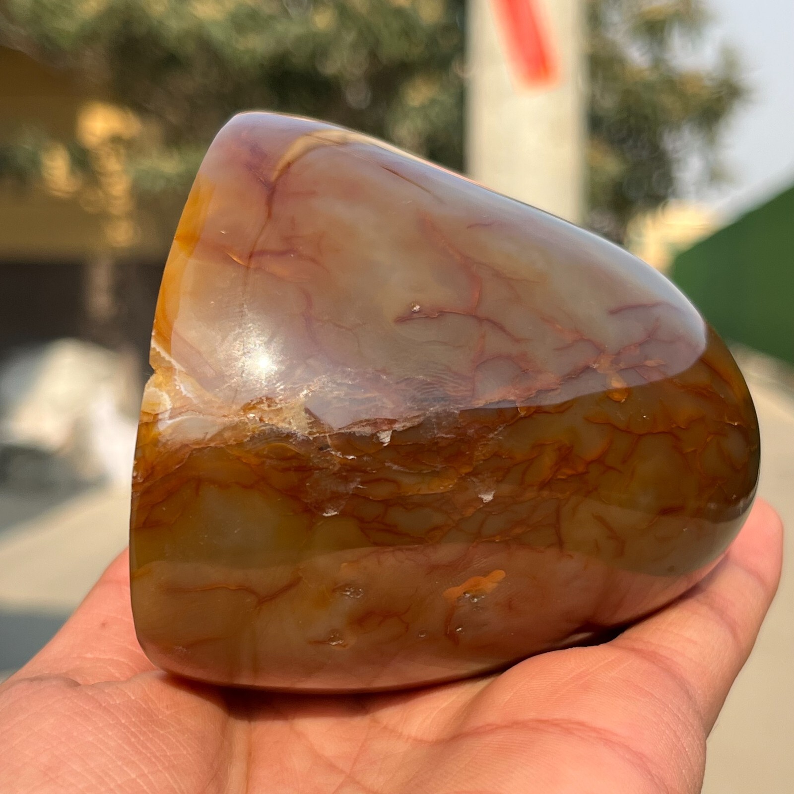 731g Rare Natural Carnelian Geode Agate Quartz Crystal Mineral Healing