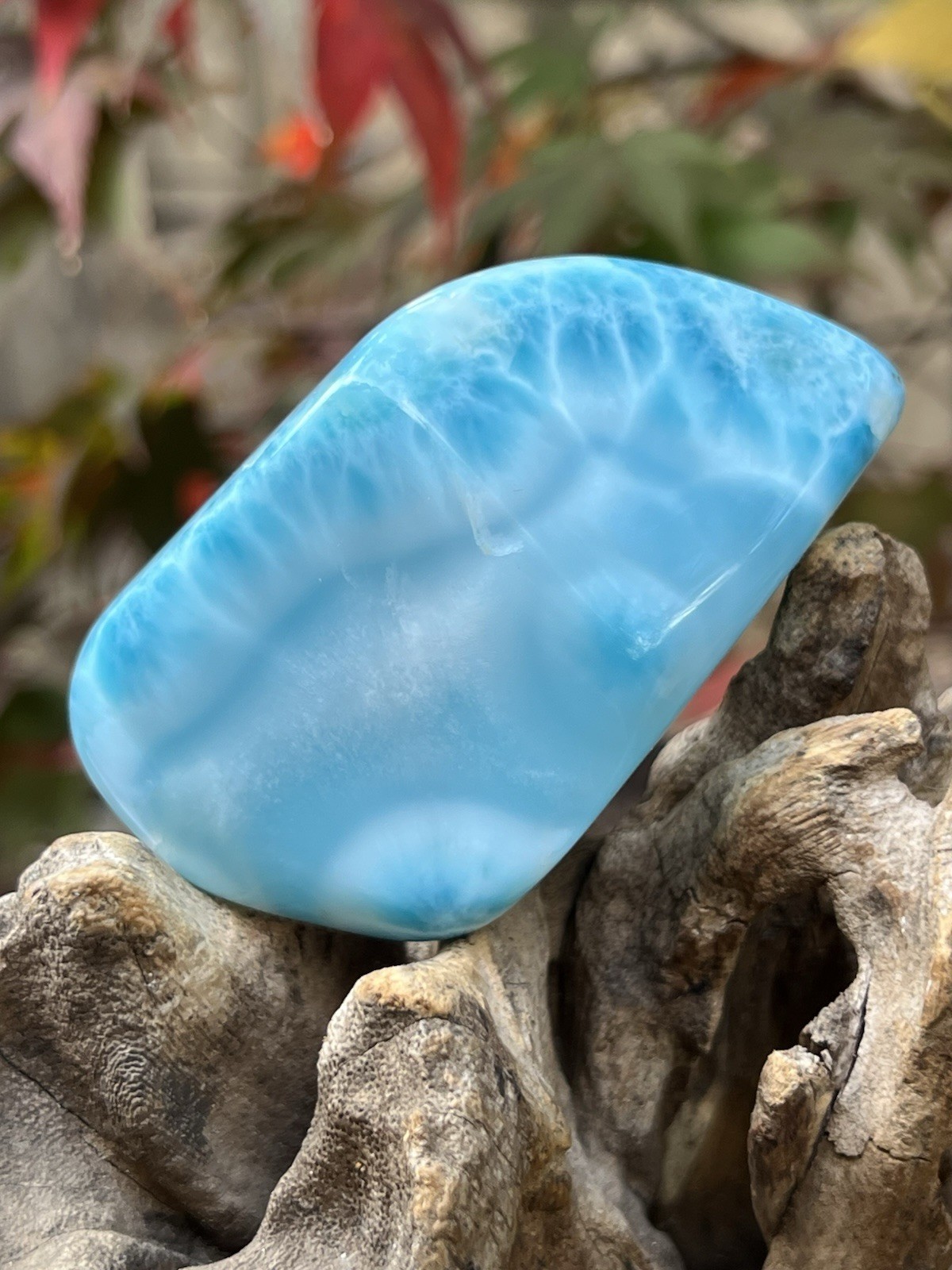 Larimar Large Freeform Dolphin Stone AAA+ : Peace: Love : Tranquility A13