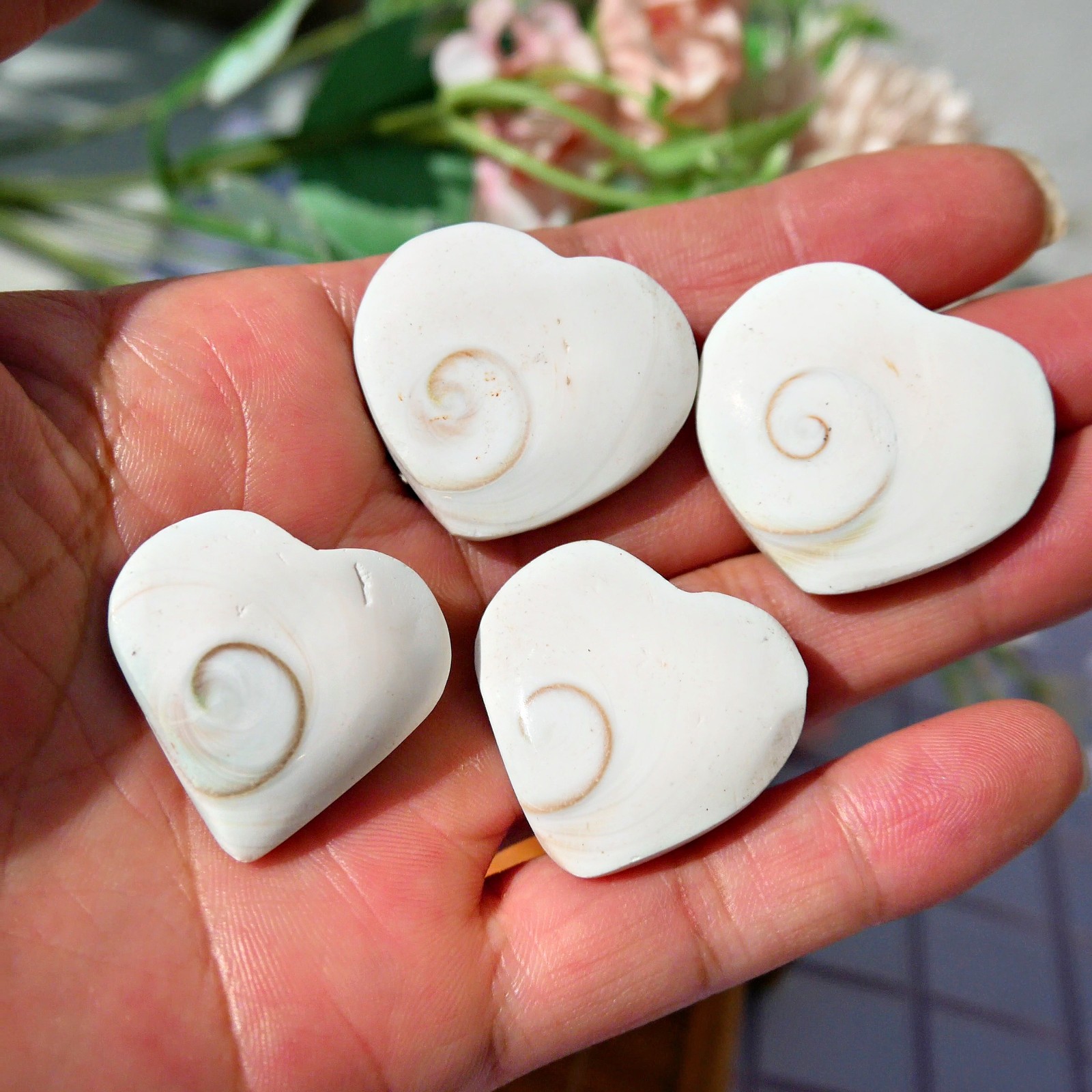 12 Pcs Natural Sea Shell Heart 1-1.5″ Bulk Lot Ocean Healing Crystal Love Stone