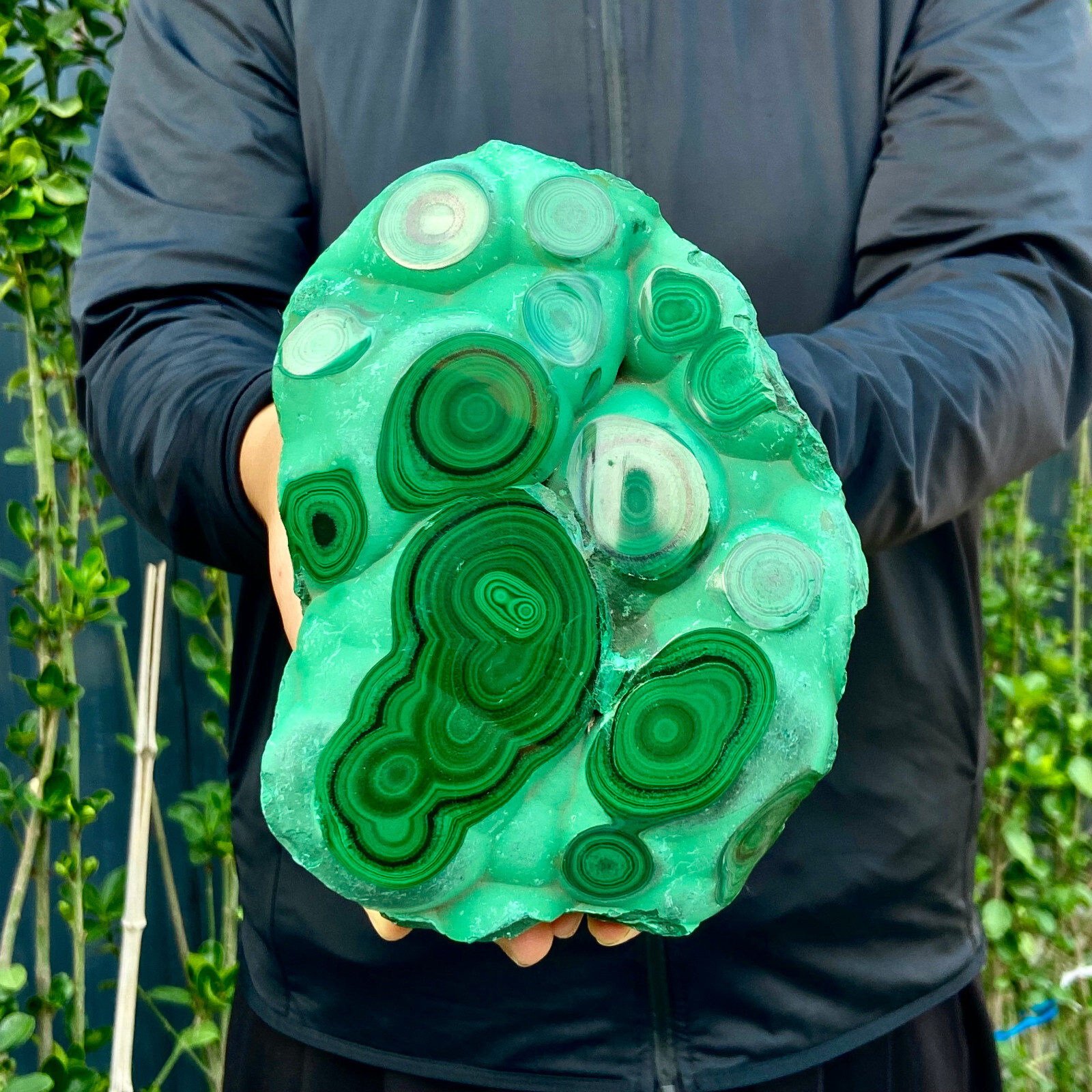5LB Natural tortoise Malachite transparent cluster coarse mineral sample