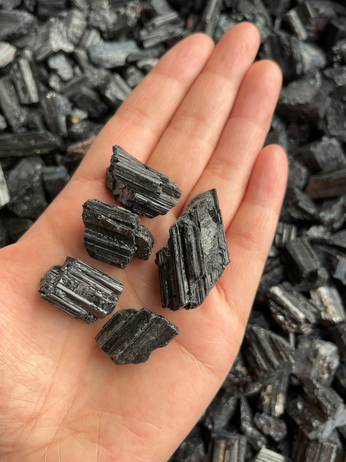 Grade A++ Black Tourmaline Small Raw Natural Stone 0.5″ – 1.25″, Wholesale Bulk