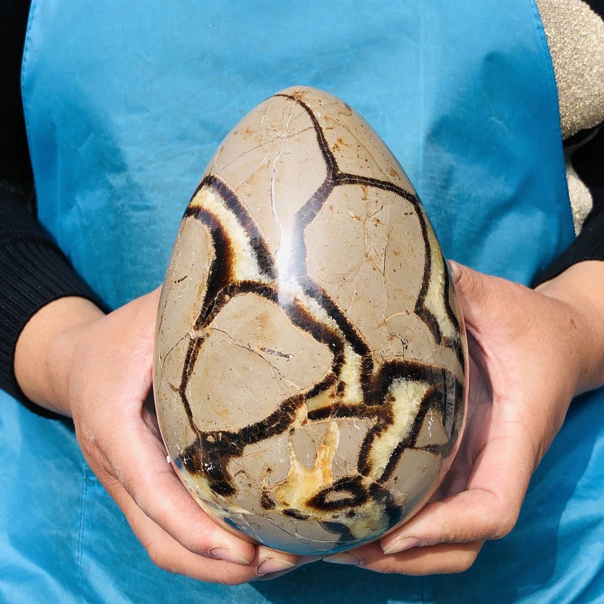 5.06LB Natural Turtle Back Stone Egg Shape Dragon Crystal Crack Healing