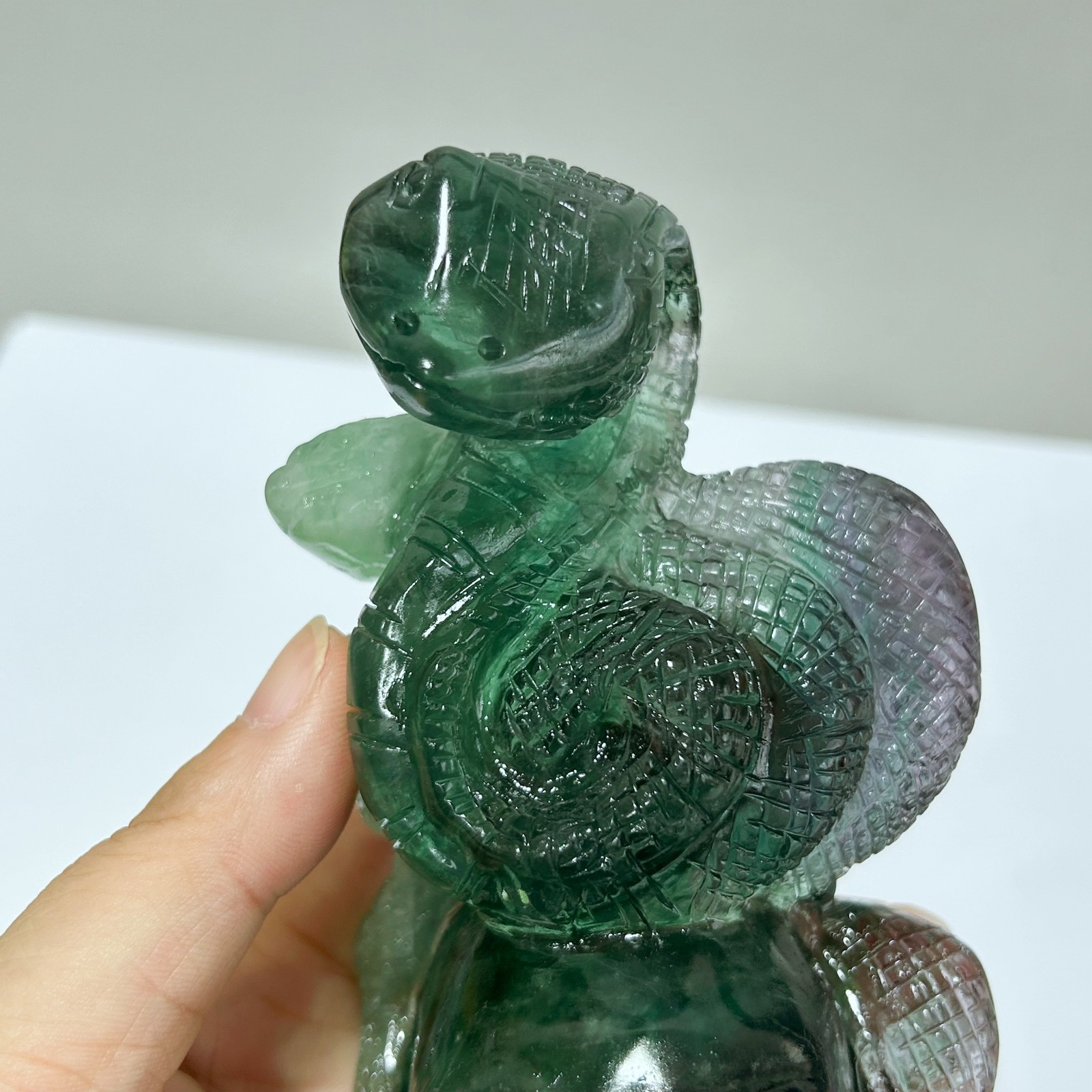 1.5LB Natural fluorite skull quartz hand carved snake crystal skull healing D221