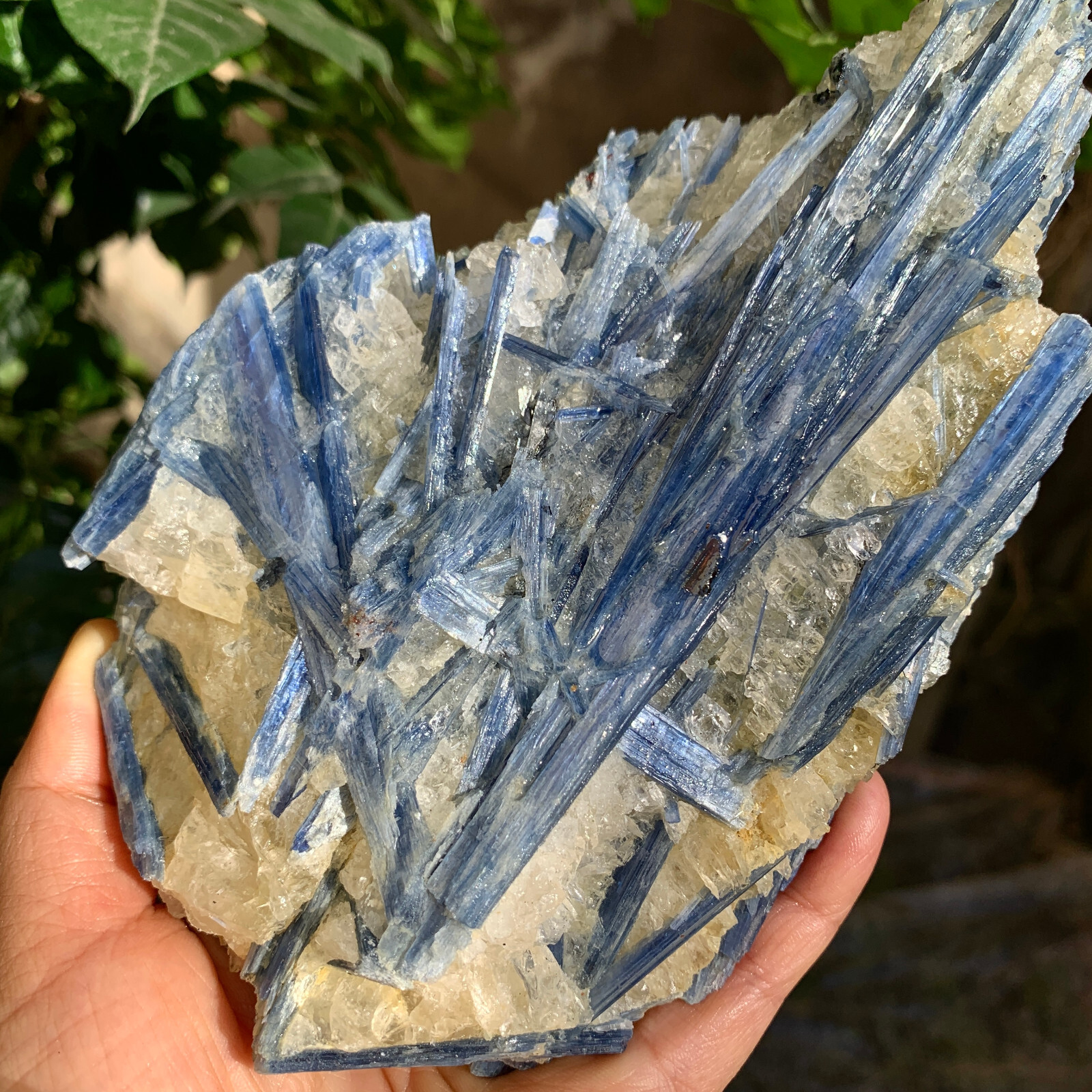 2.24LB Natural beautiful Blue KYANITE with Quartz Crystal Specimen Rough
