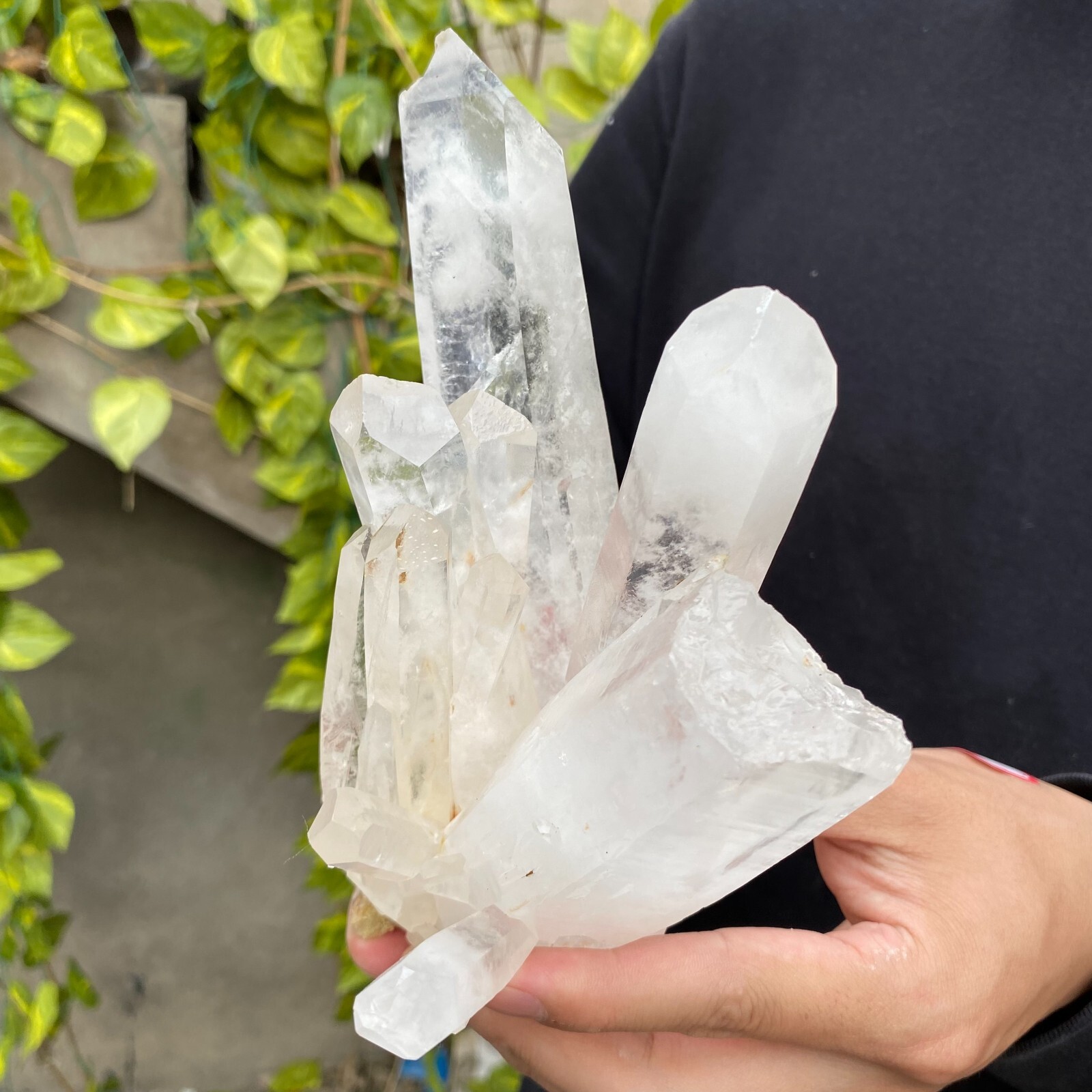 2.3lb Natural Clear White quart Crystal Cluster Raw Healing Specimen