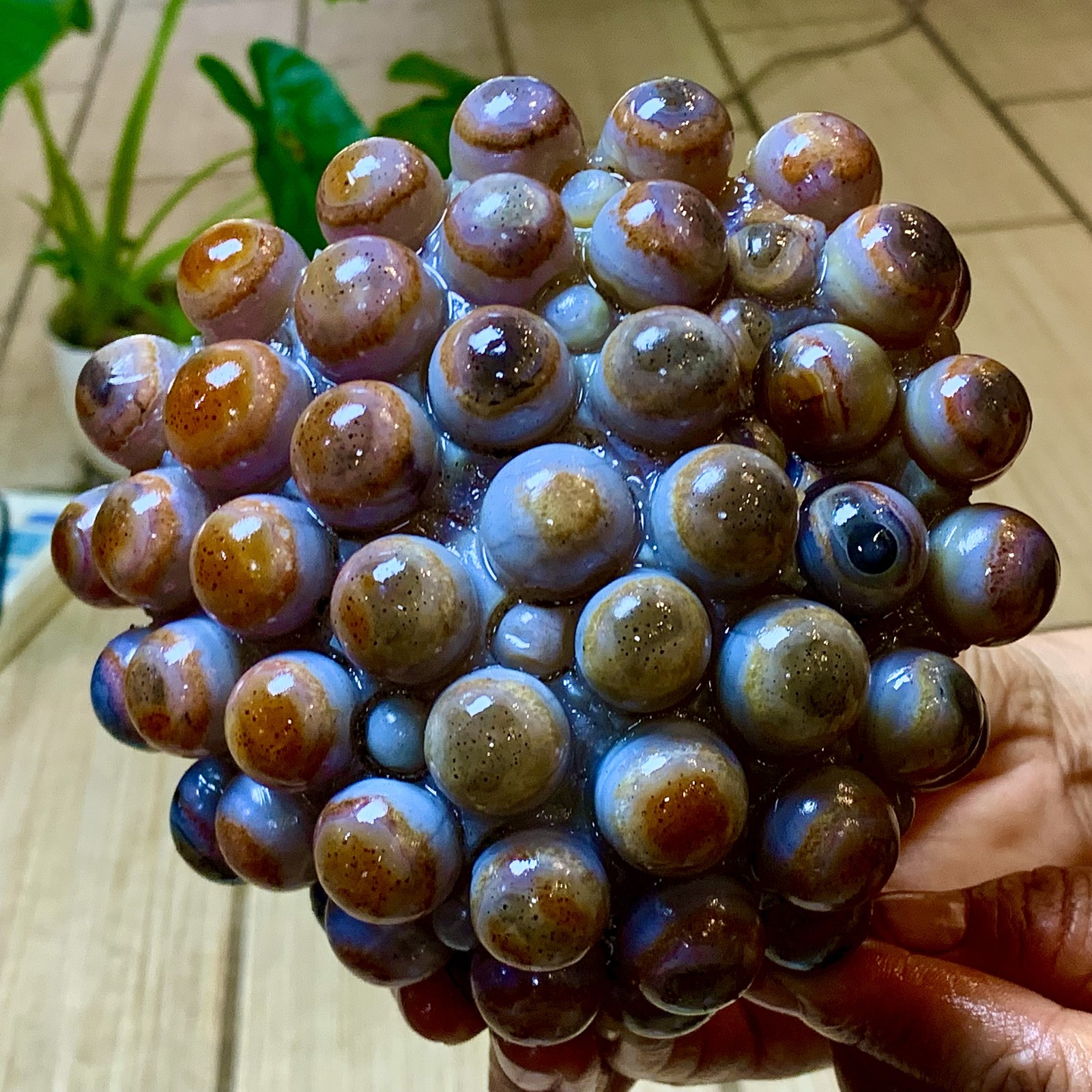 2.24LB Natural Gobi Agate Eye Agate grape shape Crystal Madagascar mineral