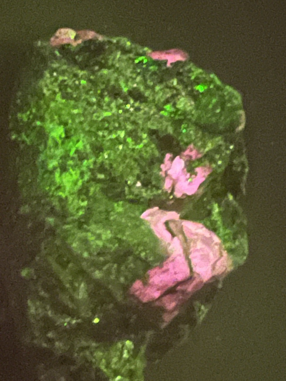Raw Colombian Emerald Crystal, Mica Matrix 230.80ct Mineral Specimen Gem Tested