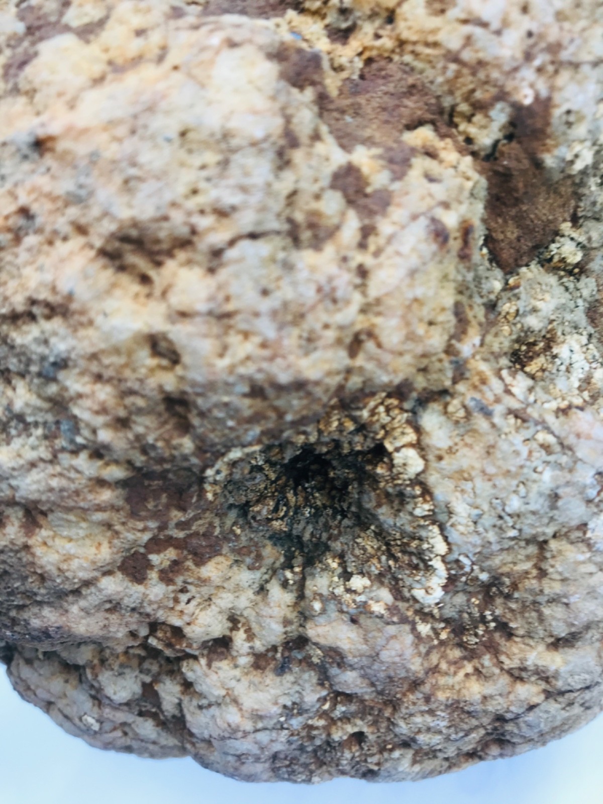 Rare Kentucky Geode Rattler 23.36 lb Unopened Natural Quartz Crack Your Own