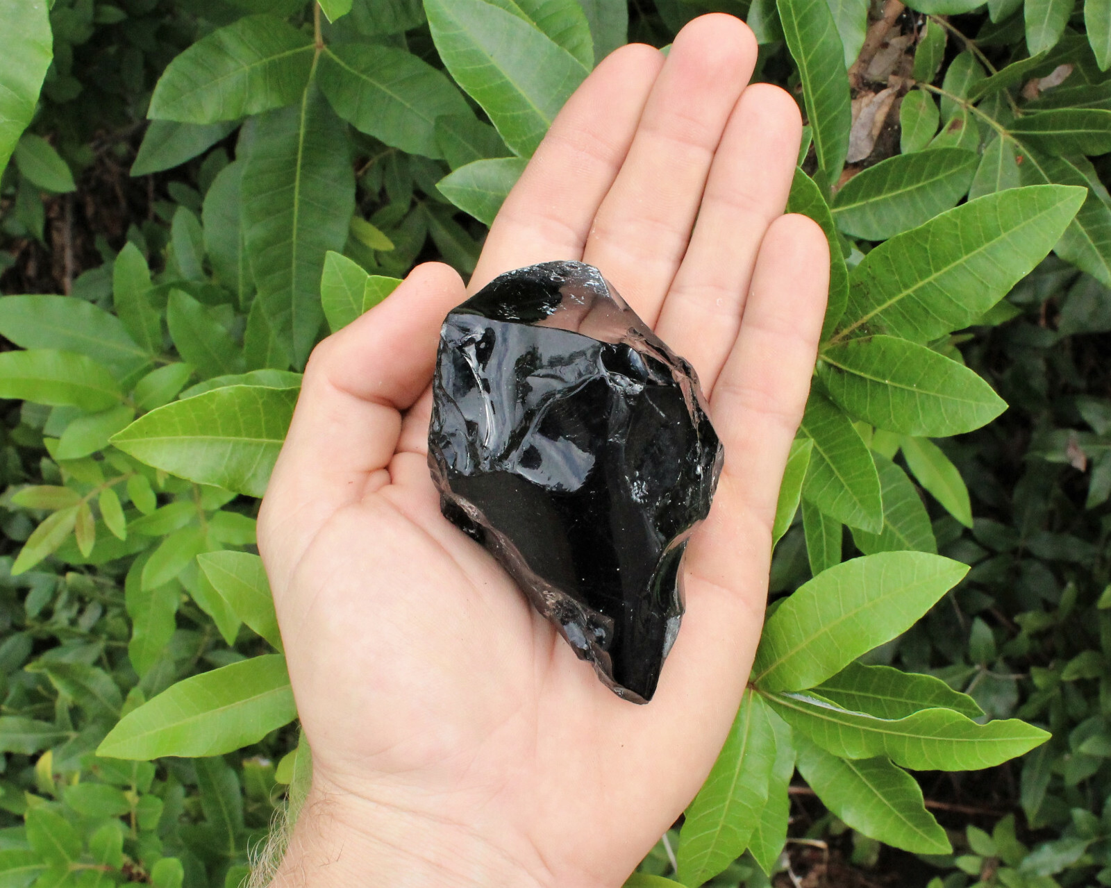 LARGE Rough Black Obsidian Crystals, 2″-3″, Raw Natural Glassy Specimens