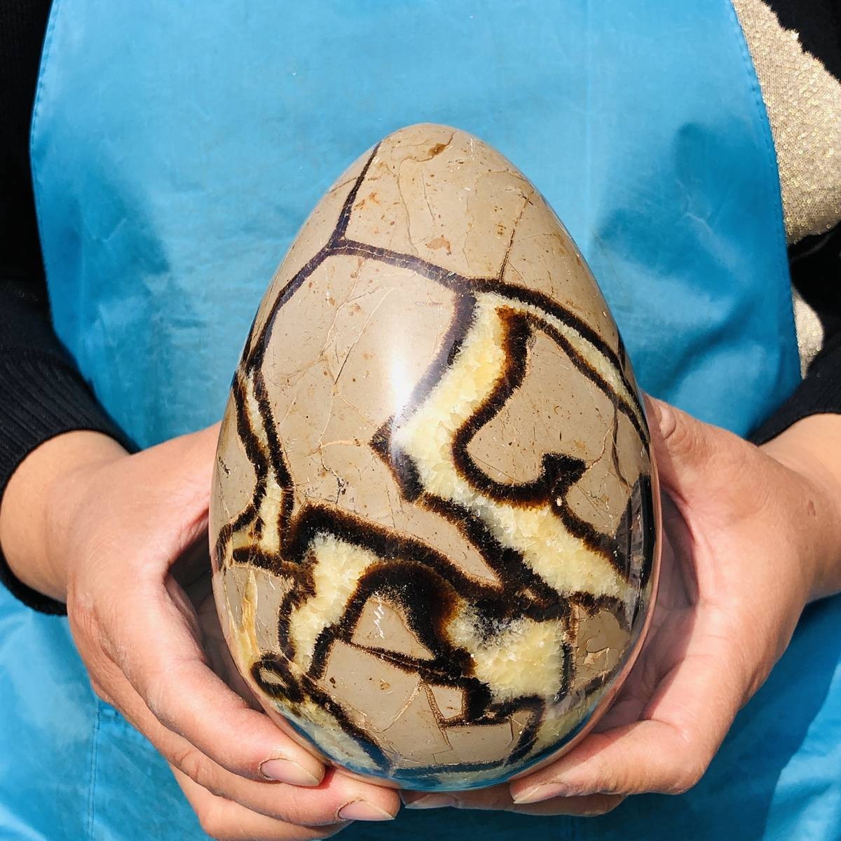 5.06LB Natural Turtle Back Stone Egg Shape Dragon Crystal Crack Healing