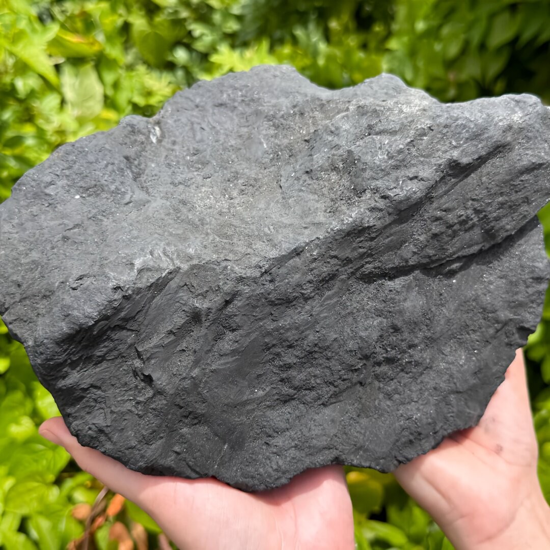 Large Natural Shungite Rough EMF Protection Healing Crystal Mineral Specimen
