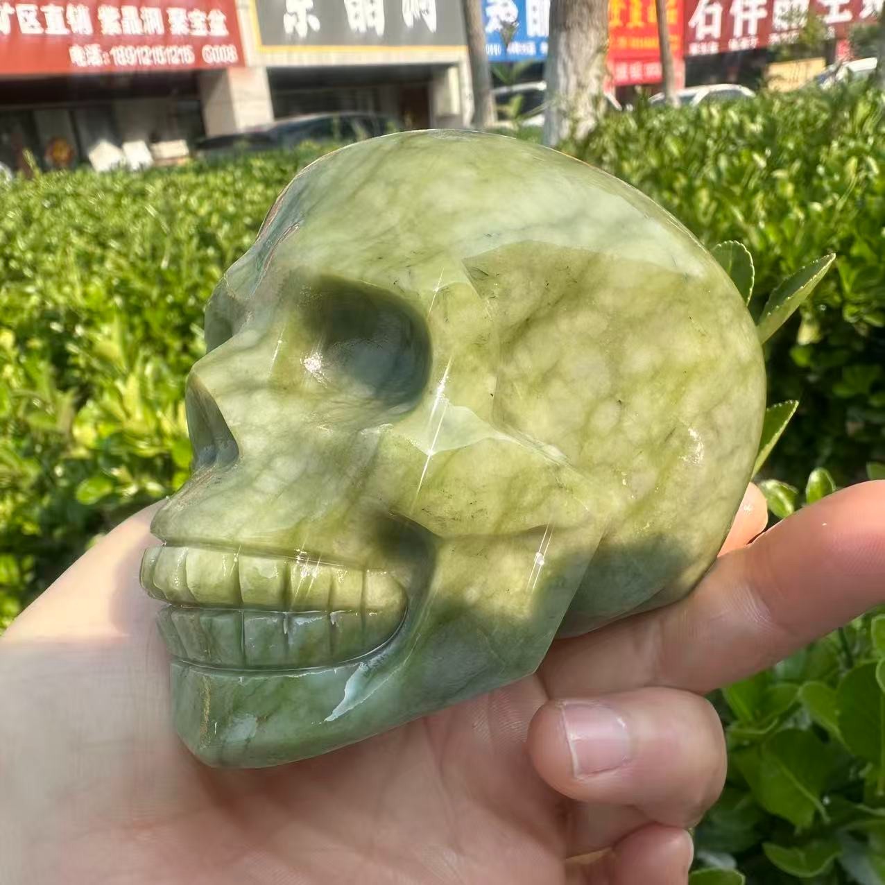 1pc Natural ophiolite carved Quartz Crystal skull Mineral Specimen