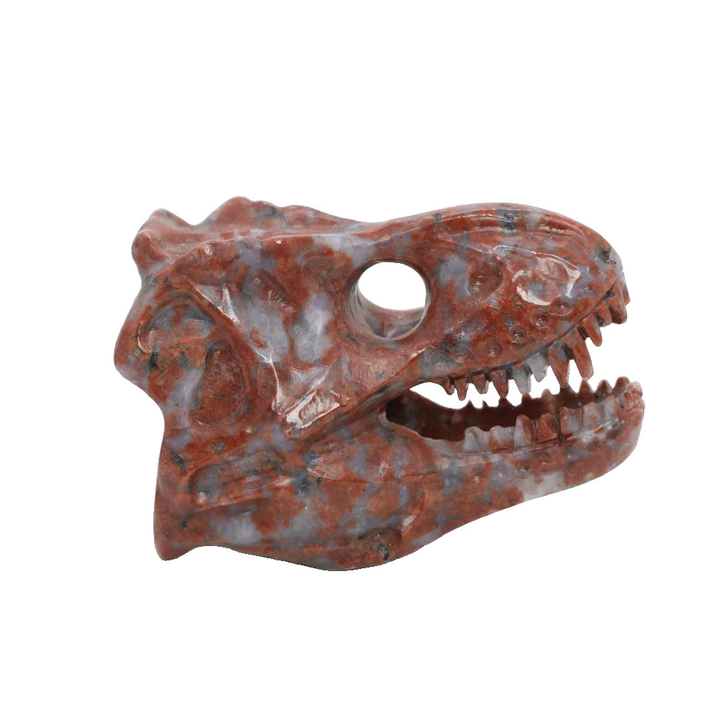 3″ RED WHITE STONE Carved Dinosaurs Tyrannosaurus Crystal Skull Random Send 1pc