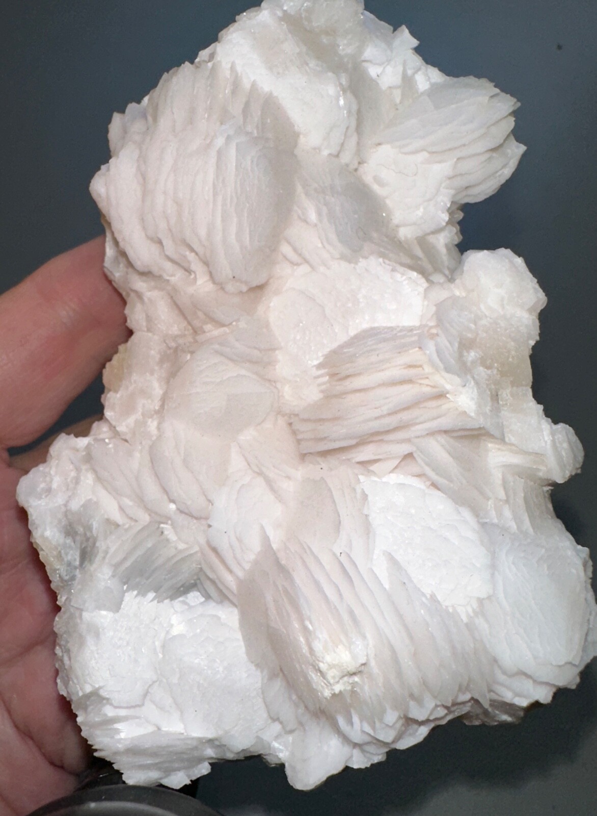 Rose Petal Calcite Specimen,Metaphysical,UV,Quartz Crystal Gift,Unique,Decor