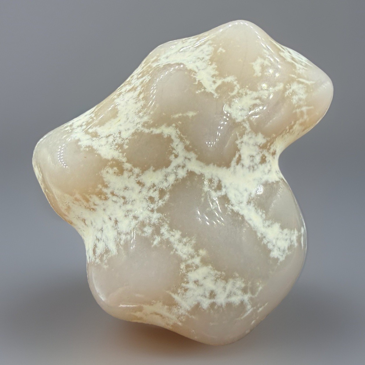 Snakeskin Agate : Rome . Malheur County , Oregon 🇺🇸